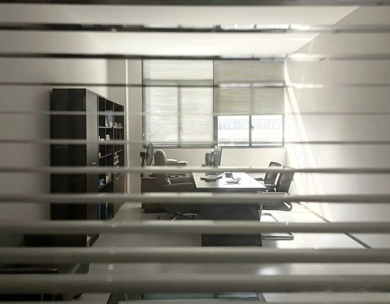 真的不幸哇,老w出生于1974年,湖北人,他在公司担任副总经理职 办公室