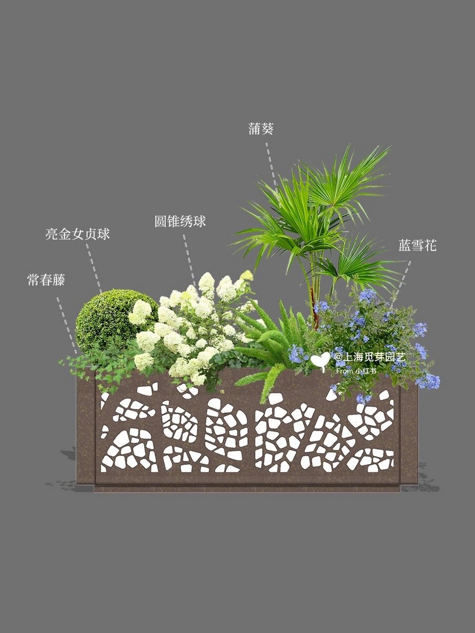 室外花箱植物搭配清单,让店铺氛围感up!