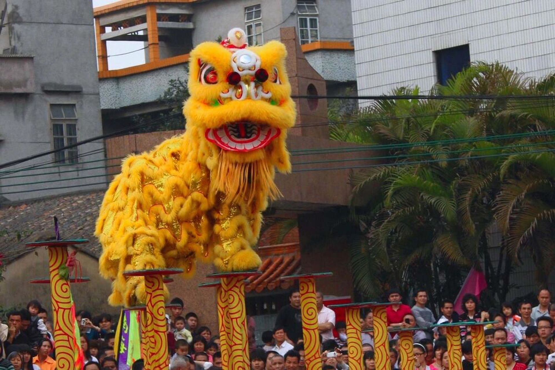 广府民俗|广东醒狮之舞狮技艺简识 78舞狮技艺大致上分为三部分