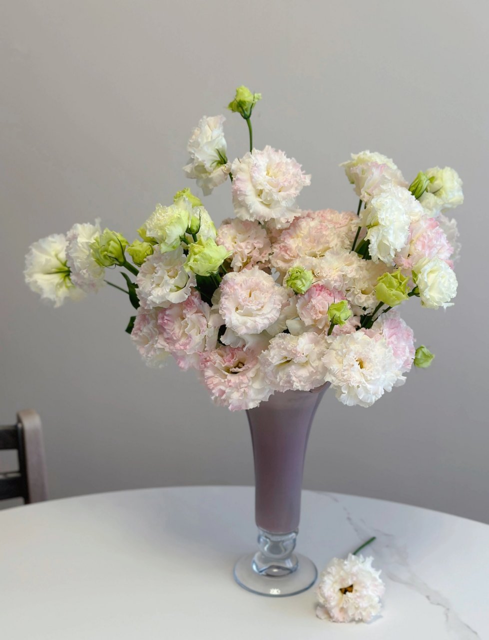 带你每天认识一种花材230/冰淇淋洋桔梗 波浪卷边 花头比普通洋桔梗大