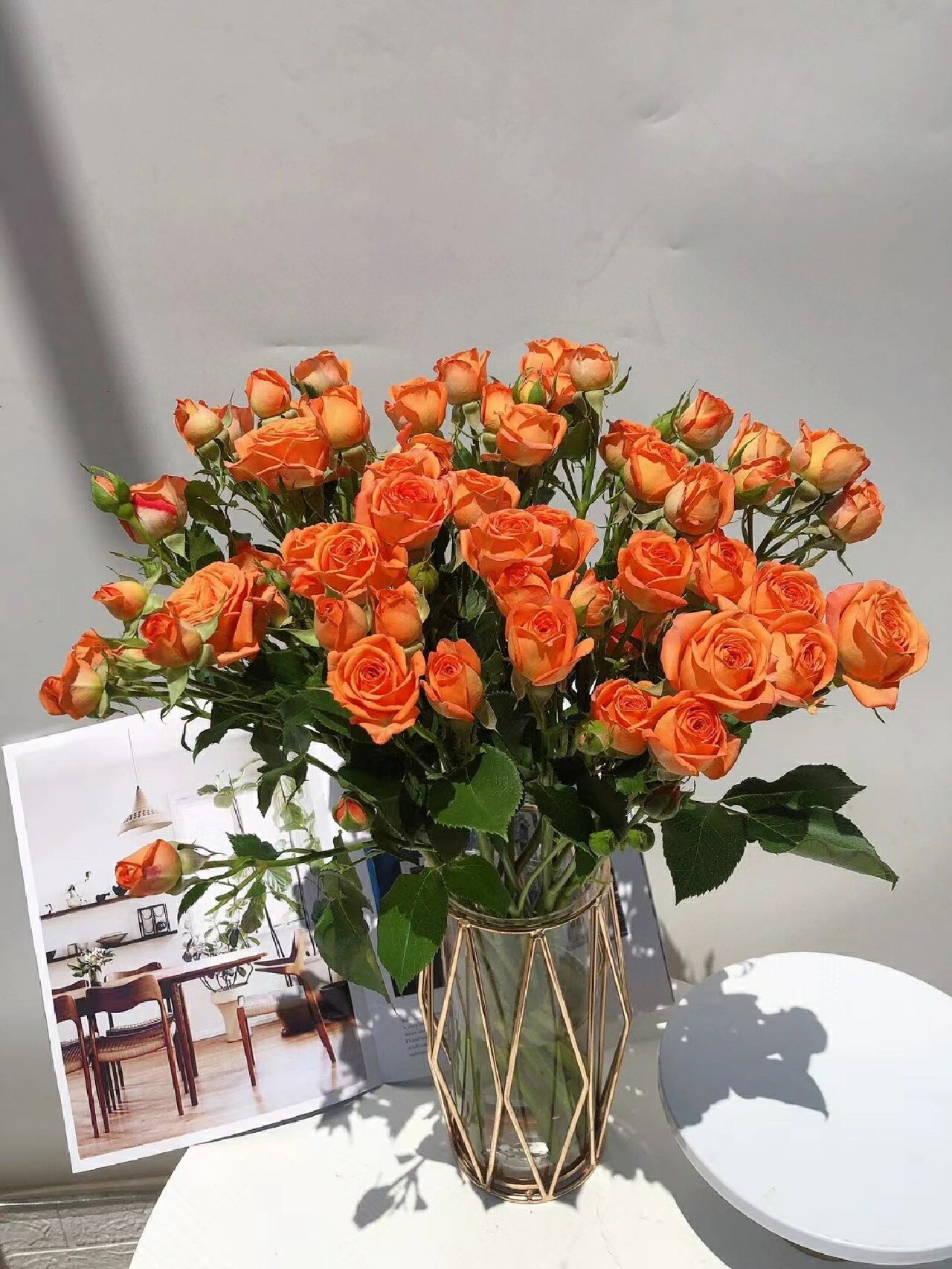 神秘的复古暖阳——橙色芭比橘泡泡多头玫瑰 92橙色芭比,94花苞