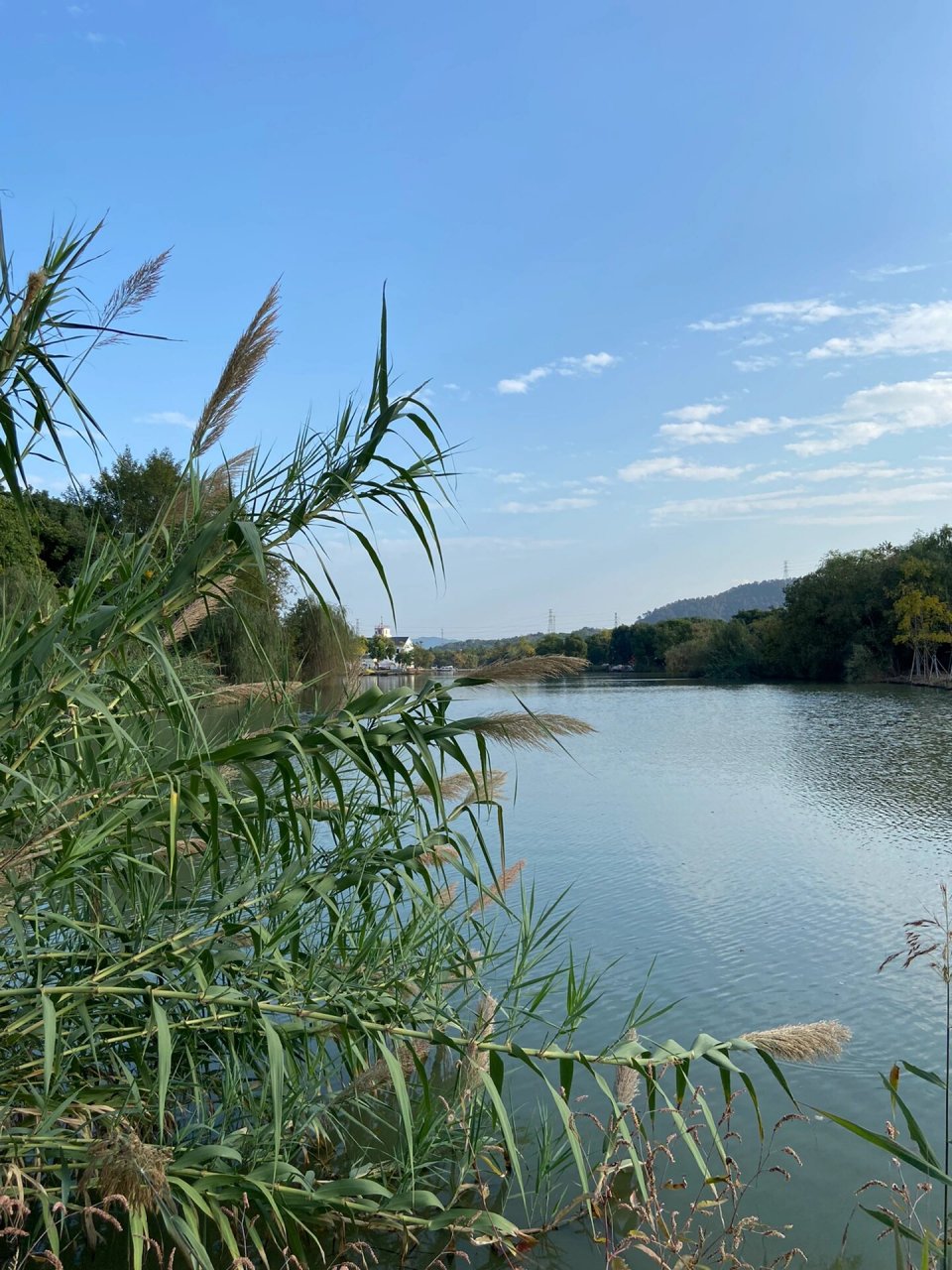 诸暨白塔湖湿地公园半日游 浙江诸暨白塔湖国家湿地公园,位于浙江省