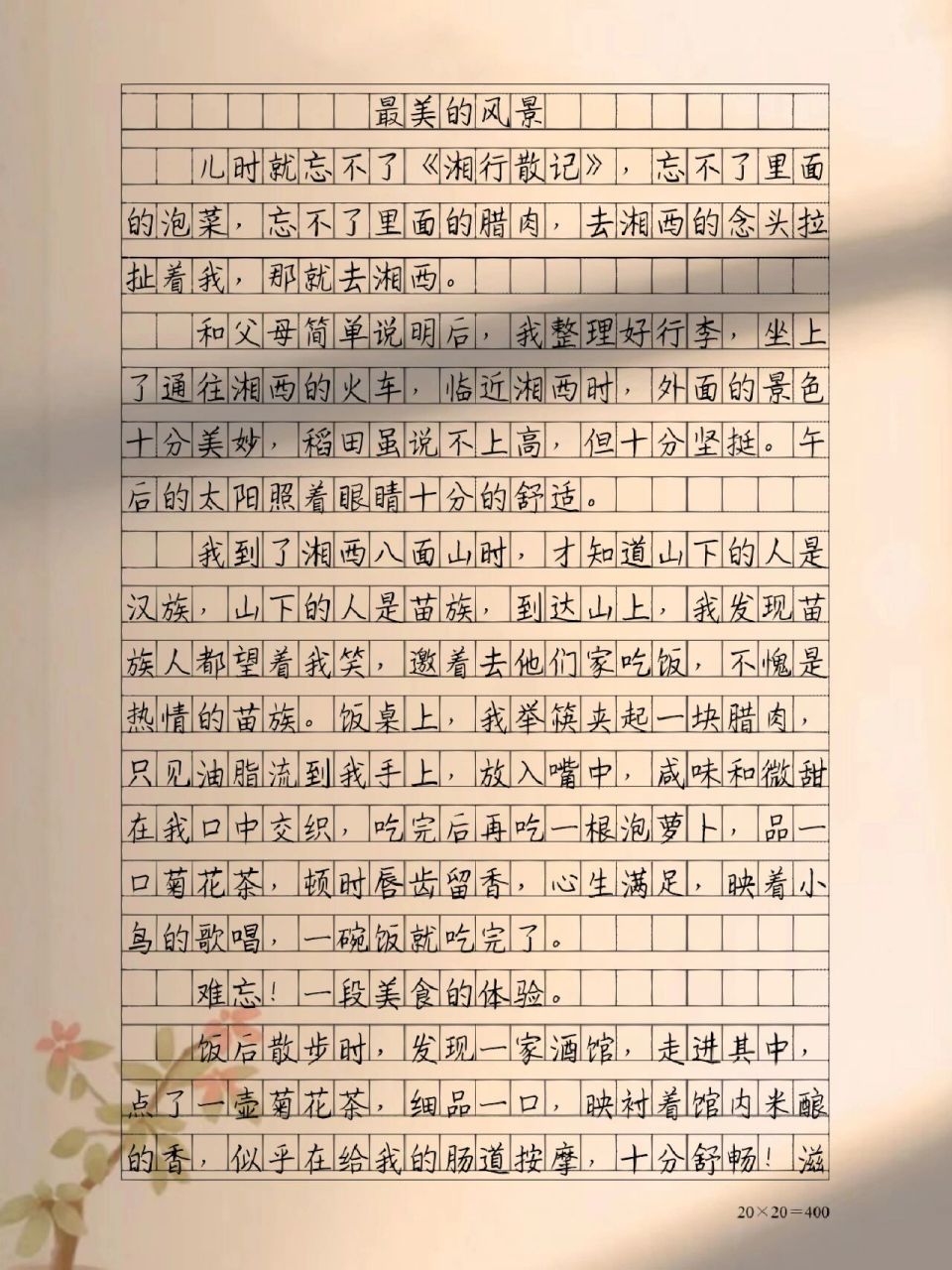 优秀作文摘抄《最美的风景》 儿时就忘不了《湘行散记》,忘不了里面的