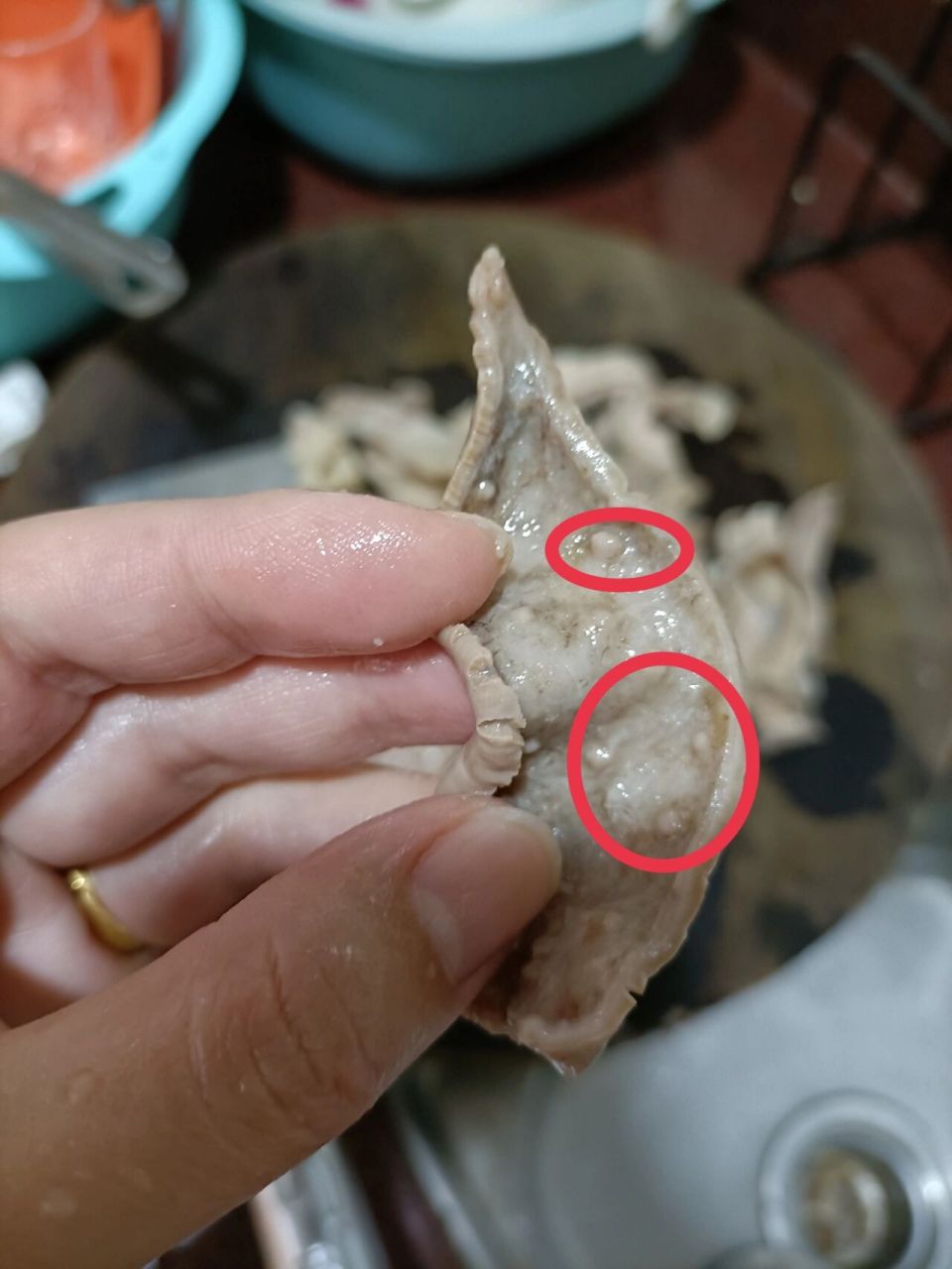 猪肚这样能吃吗 第一次看到这样,里面一点一点的