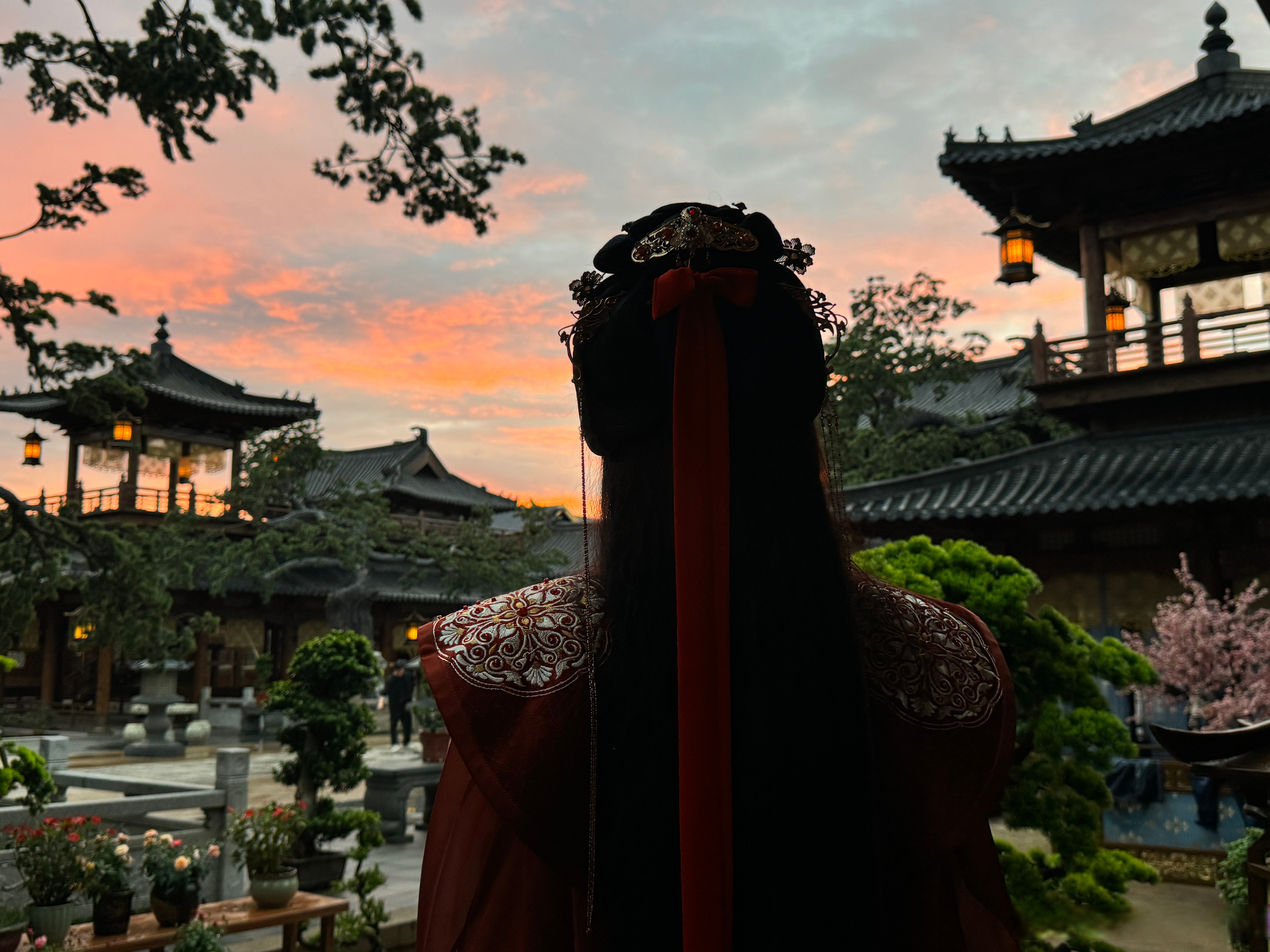 我望着案前那株植物,枝叶疏朗,结着少量红玉般的果实