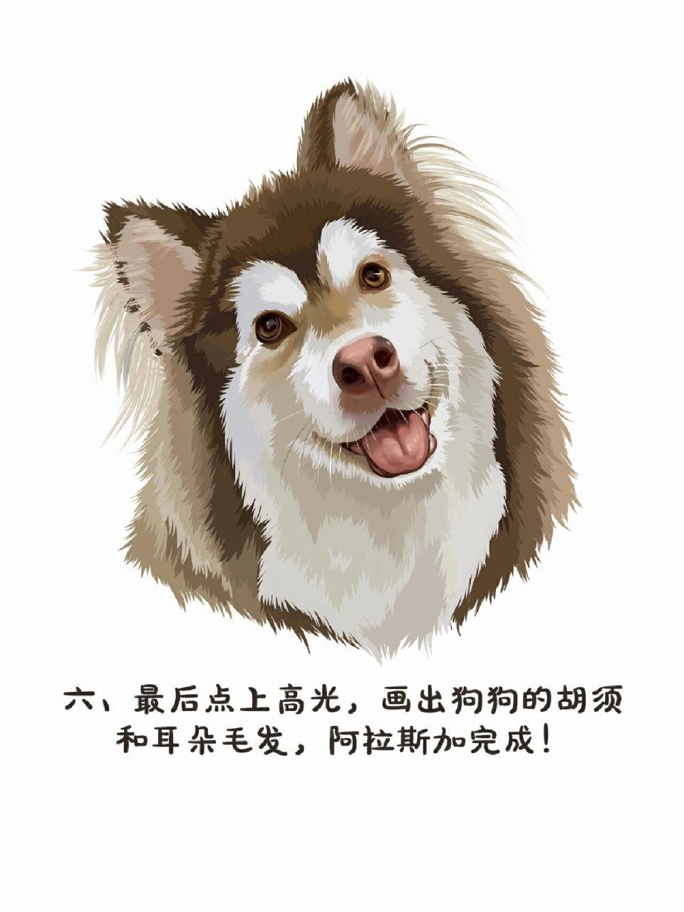 【宠物手绘——阿拉斯加】你今天撕家了吗 今天画了个大家伙,宝子们