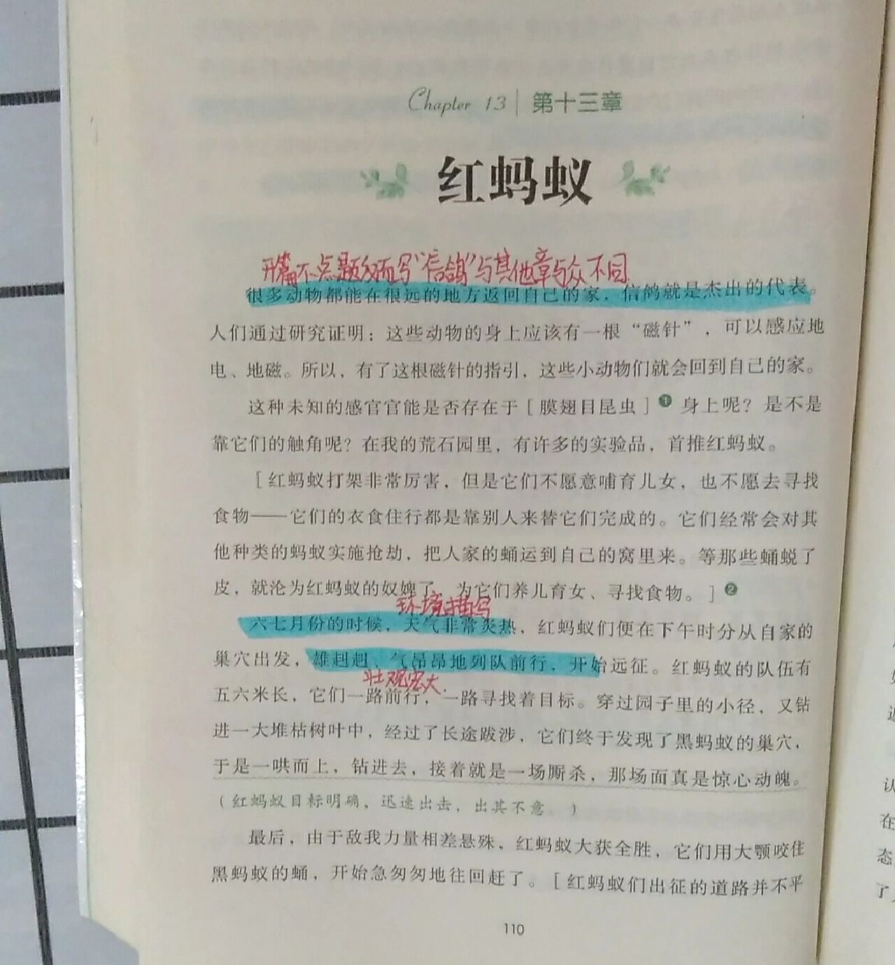 《昆虫记》第十三章 红蚂蚁@小康卓儿的动态