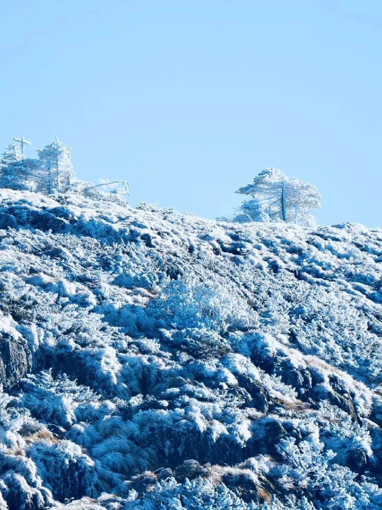 2024的第一场雪一定要去轿子雪山 昆明轿子雪山919191 昆明冬季