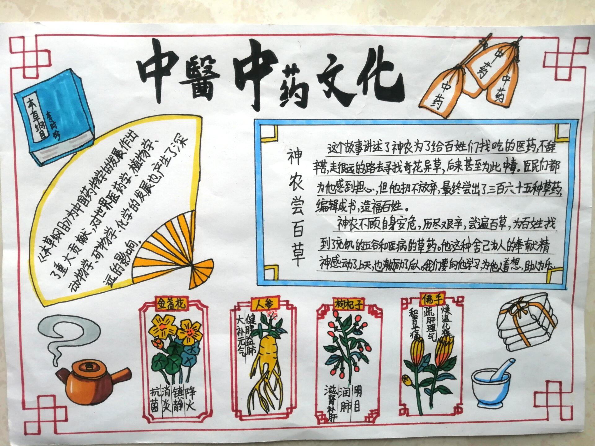 《中医药文化》小报