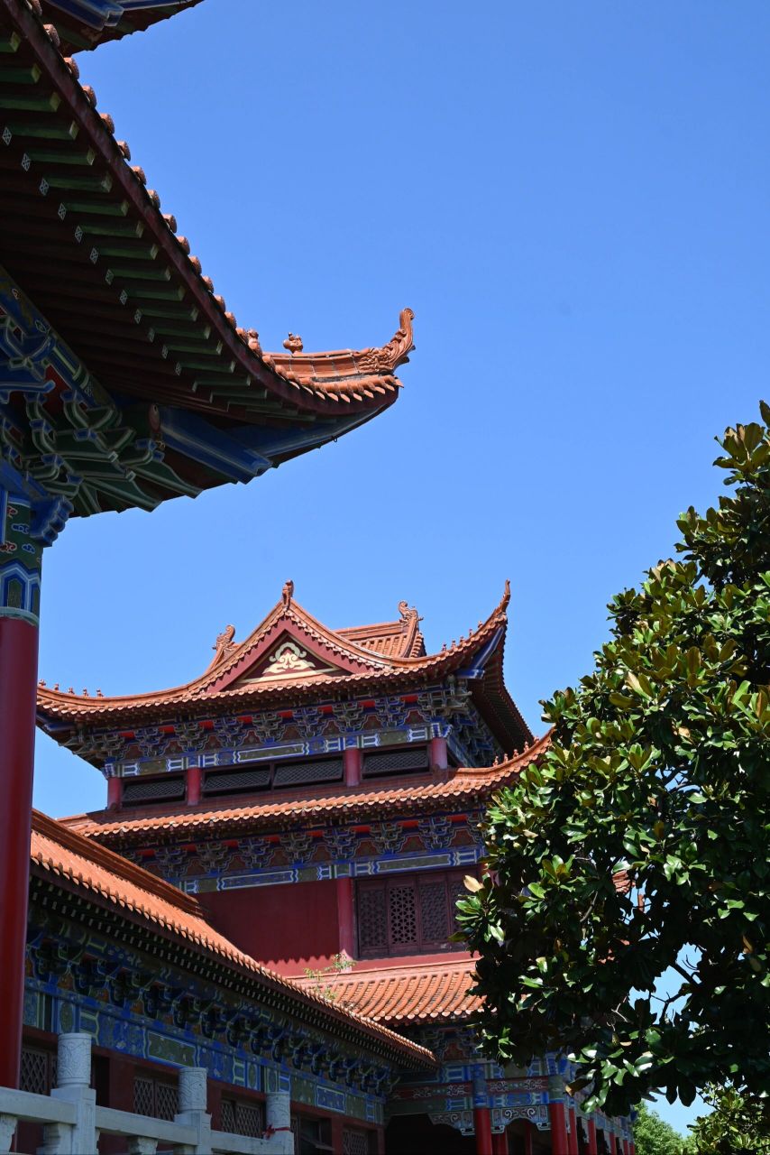 开福禅寺|合肥的寺庙也不差!