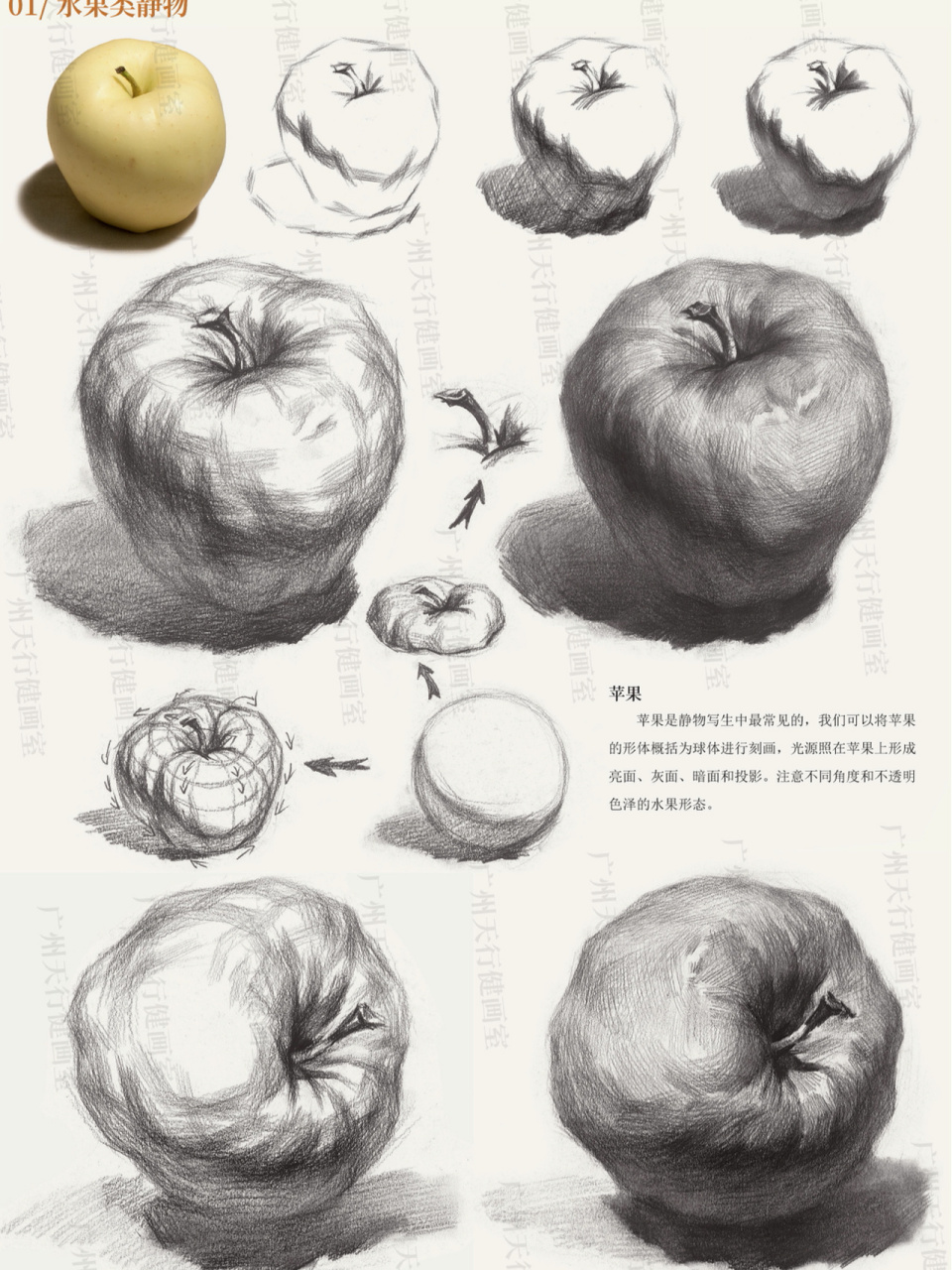 素描静物苹果画法步骤图片