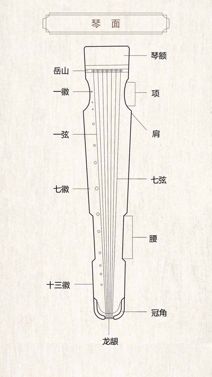 古琴的各个部位都叫什么?