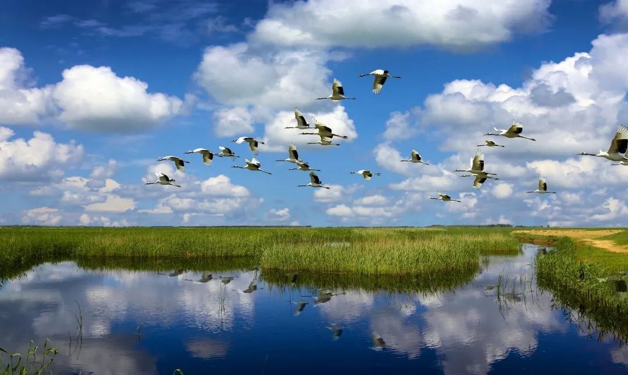 五一游齐齐哈尔,不可错过的旅游打卡地① 166扎龙生态旅游区 78
