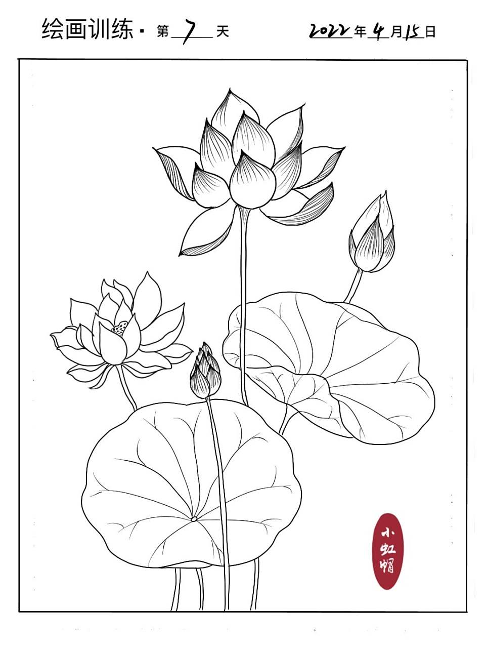 线描练习|超简单荷花线稿(附过程) 荷风送香气,竹露滴清响.