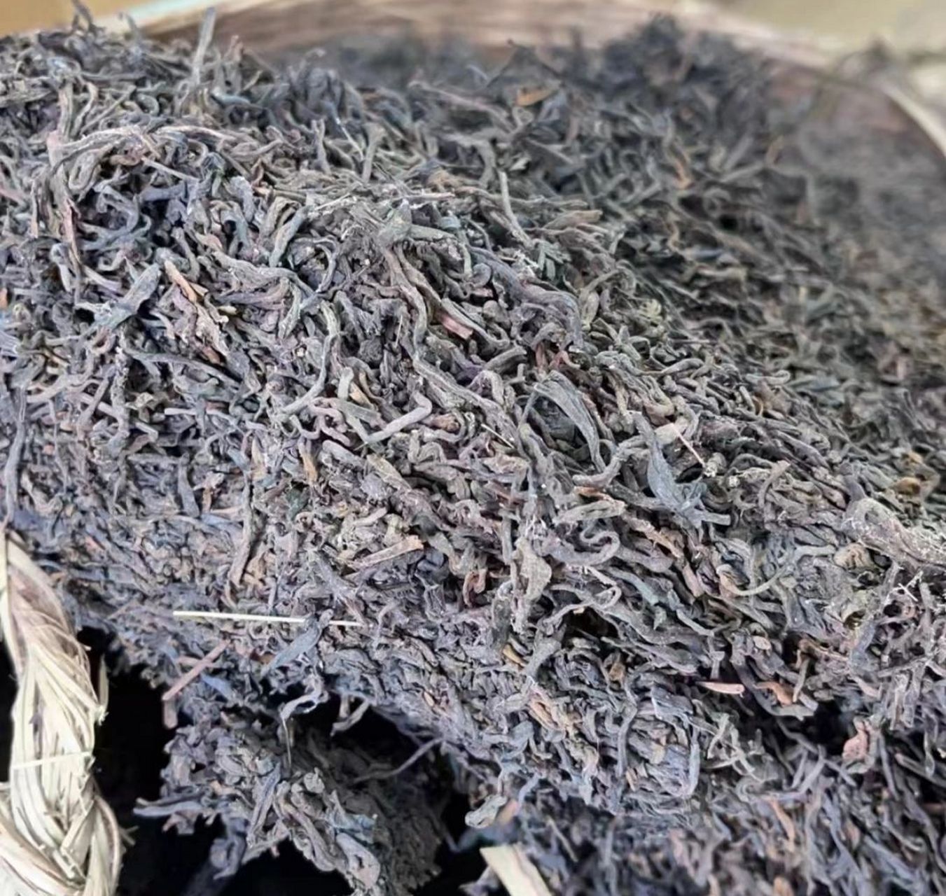 发霉的普洱茶能不能喝?