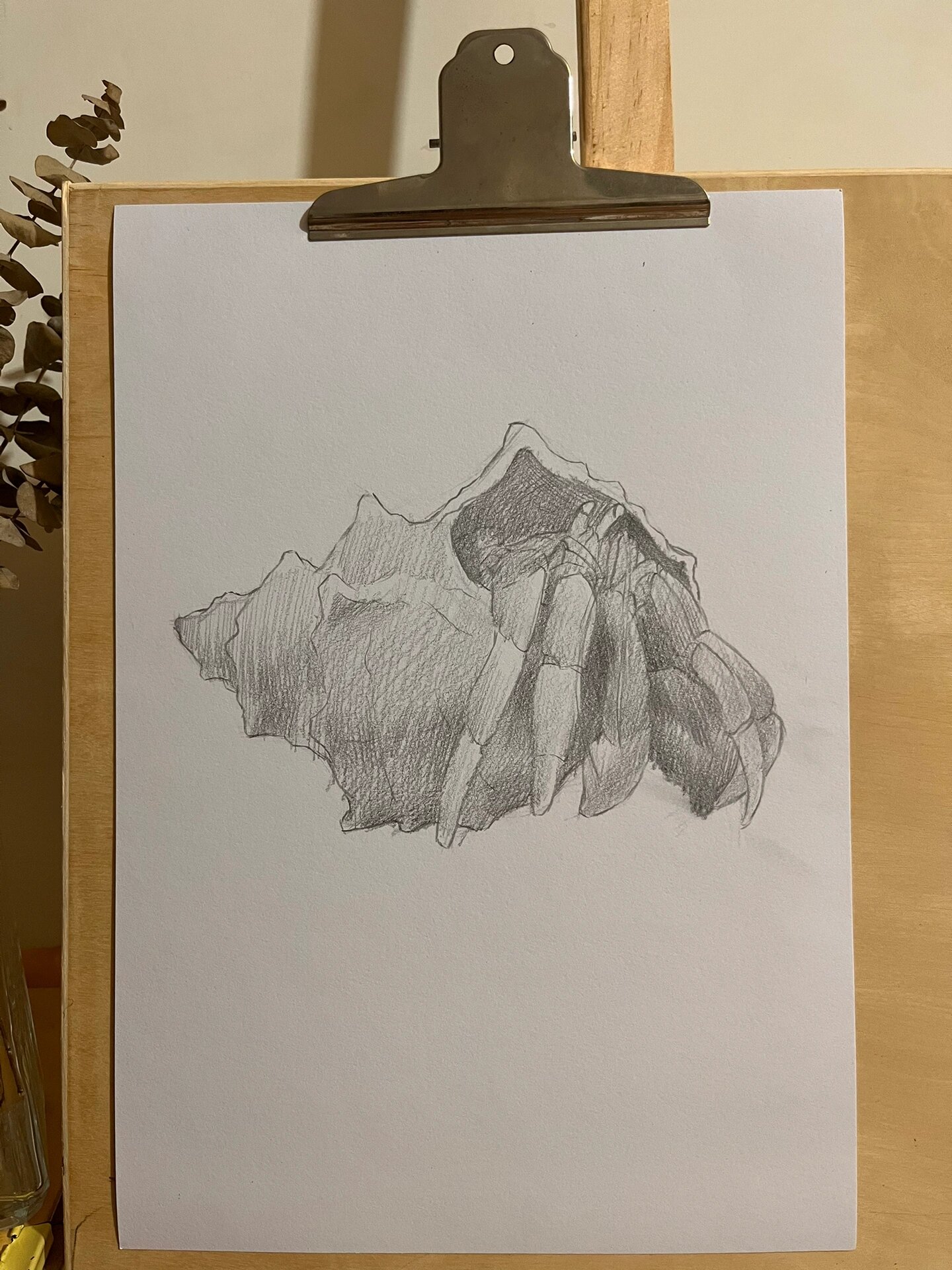 素描.寄居蟹 步骤图