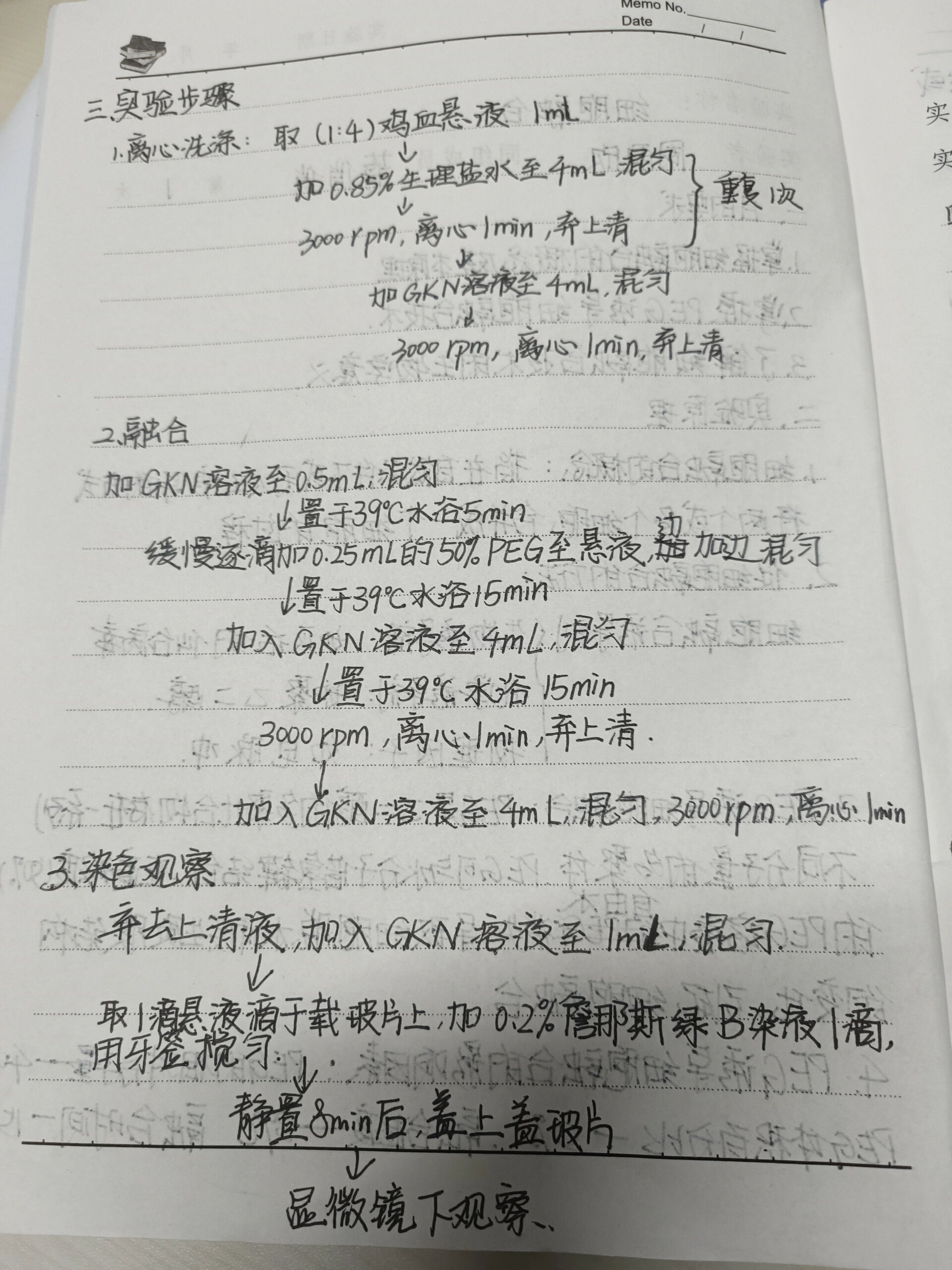 细胞融合 实验报告,融合图在最后呦