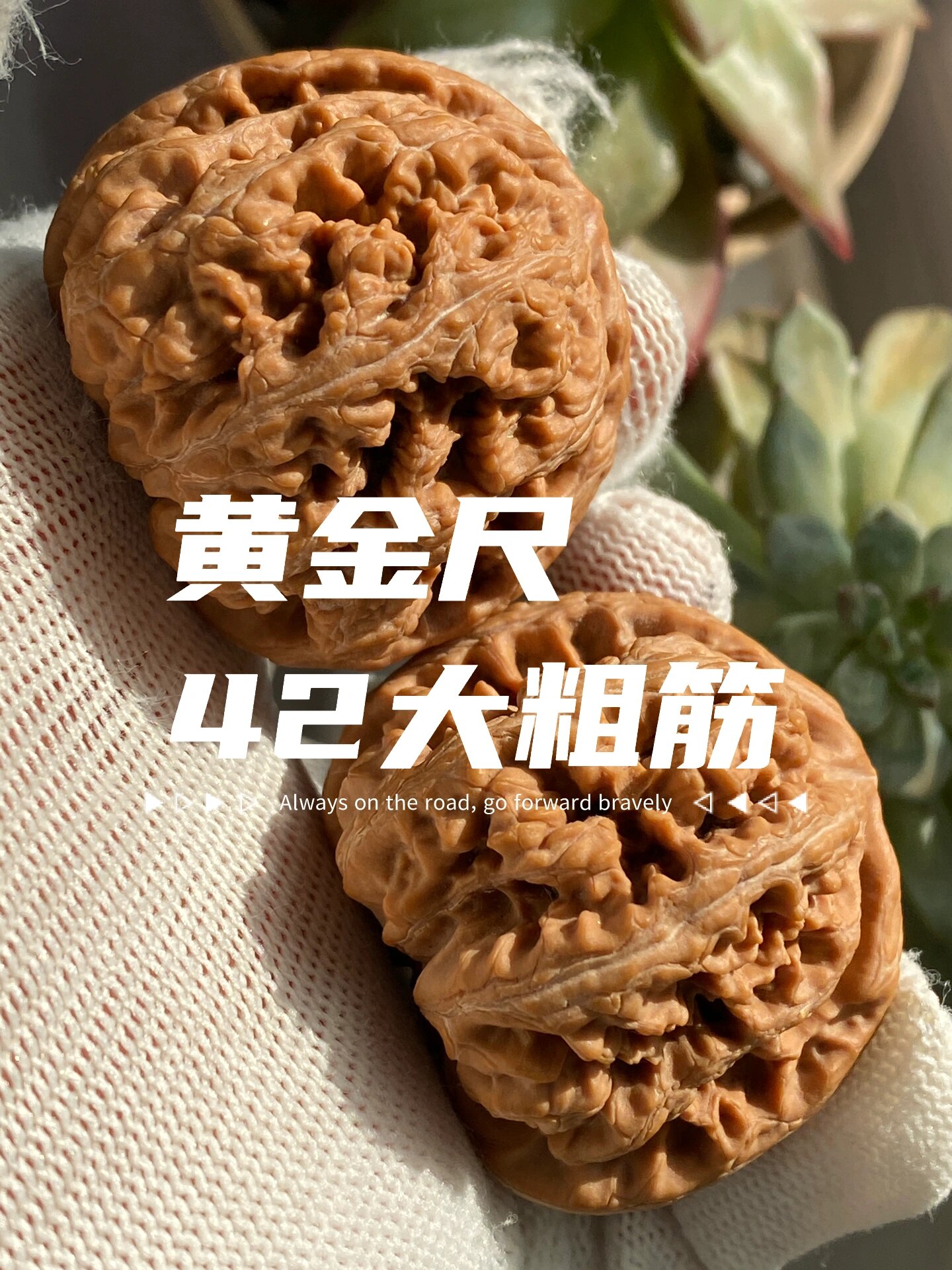 42平谷大粗筋,边肚同尺,高性价比