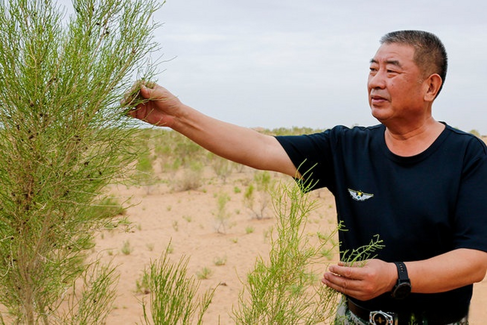 身边好人丨李德海:10余载坚守 只为那一抹绿