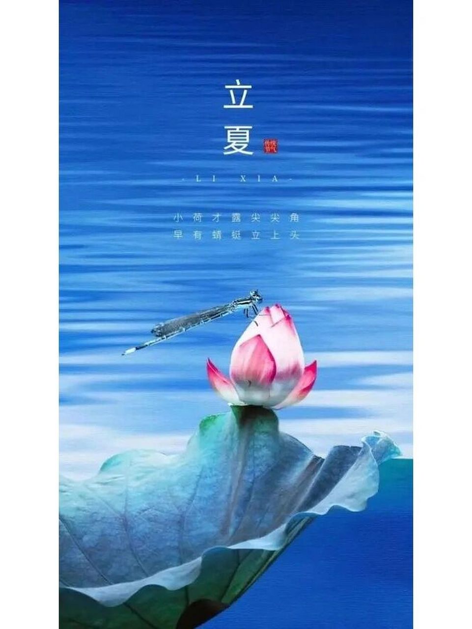 立夏说说 文案 图片欢迎分享 1.夏天夏天悄悄过去留下小秘密 2.