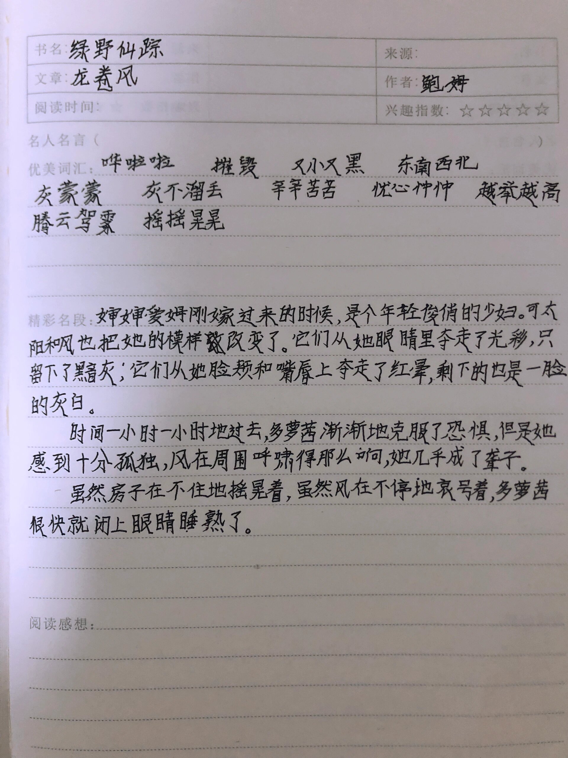 绿野仙踪读书笔记图片