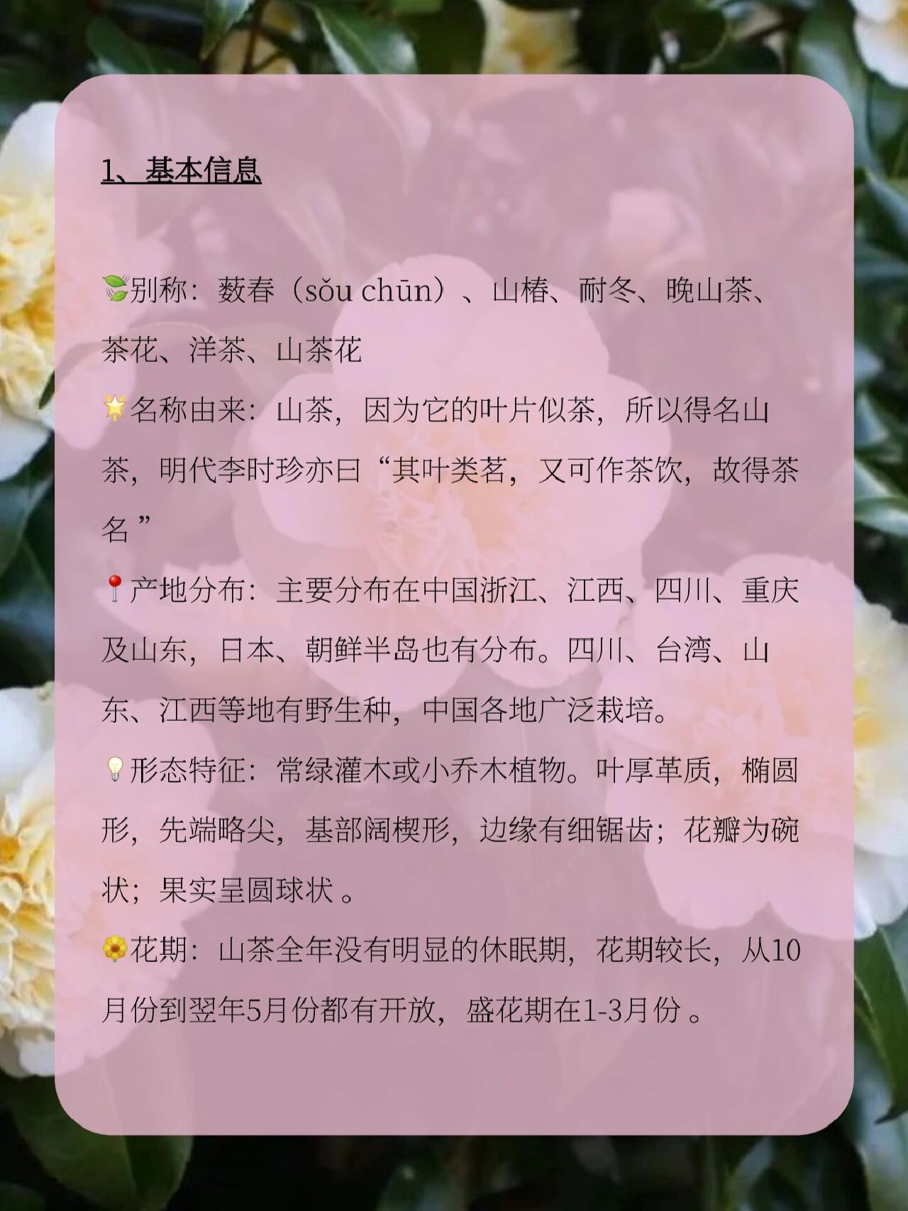 1 每天认识一种花|山茶花 山茶花在"十大名花"中排名第七,郭沫若曾