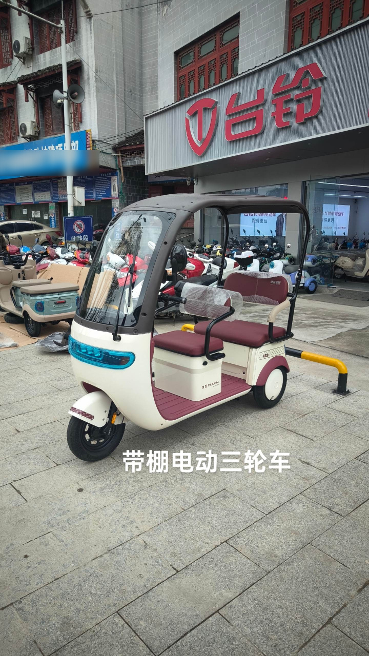 带棚电动三轮车,价格5980元,欢迎来店看车