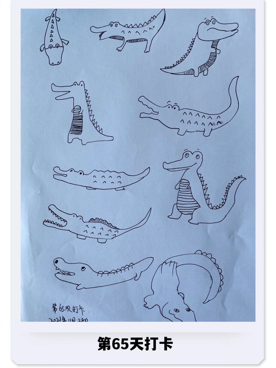第65/100天打卡,简笔画临摹一组鳄鱼 鳄俗称鳄鱼,是爬行动物,头扁平