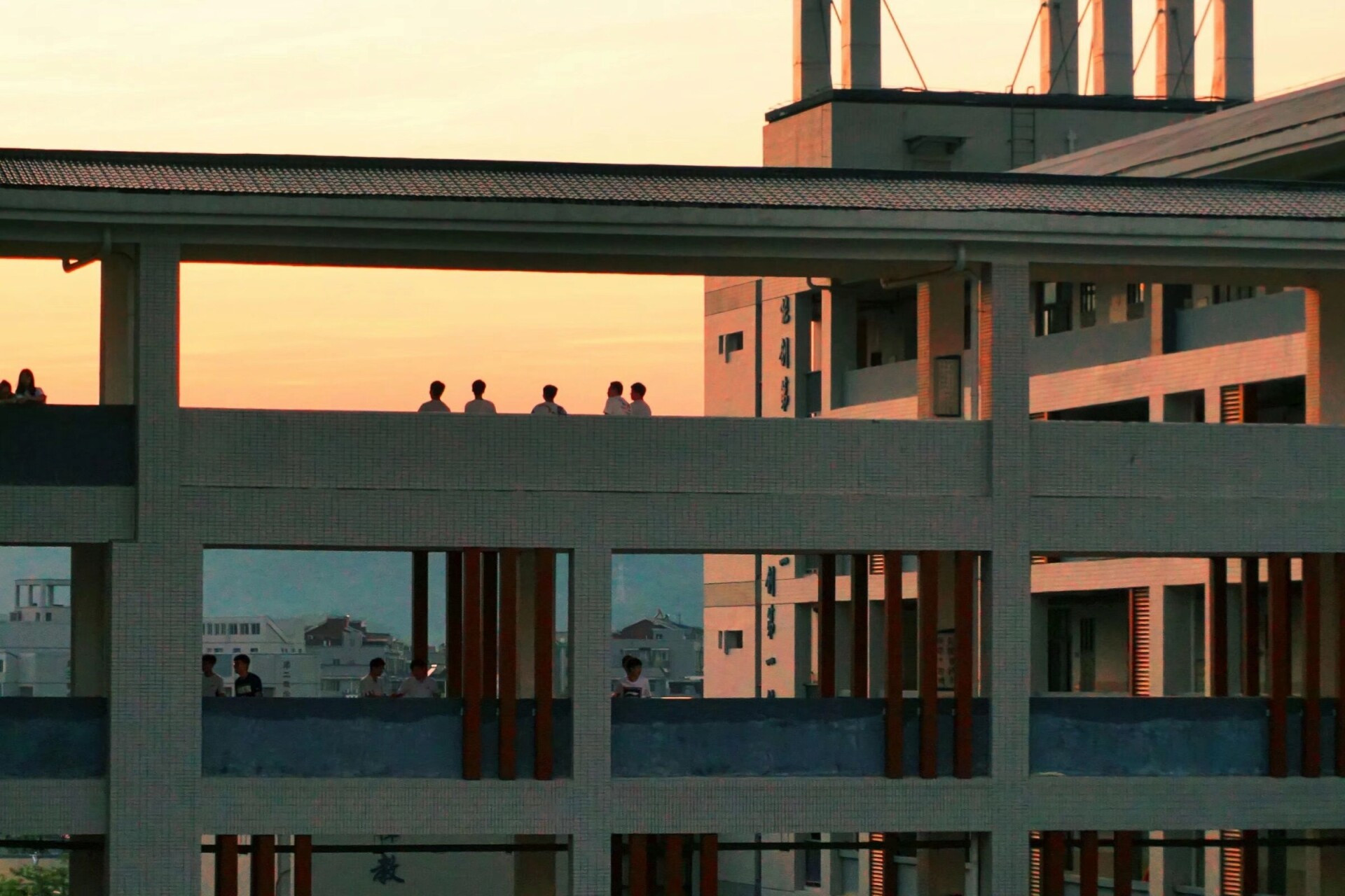 柳州市一中‖校园风光‖校园随手拍 在学校拍的照片②