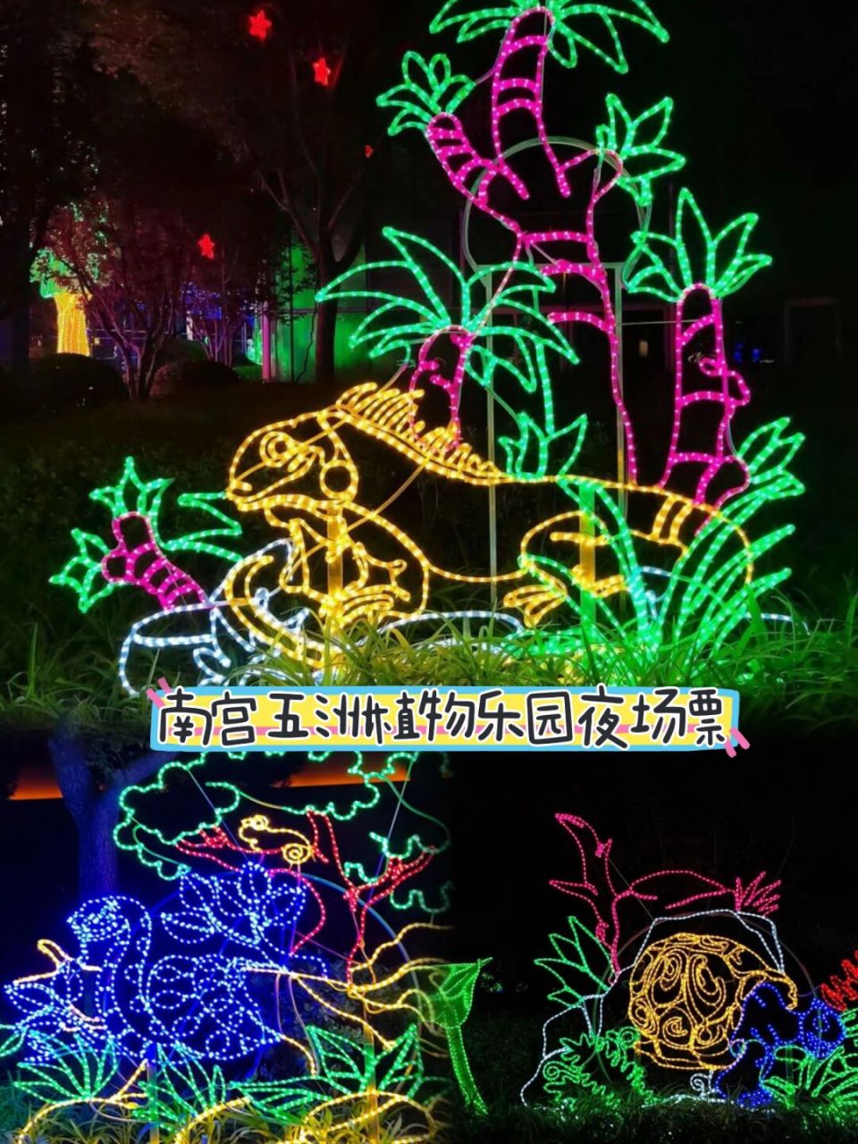 南宫五洲植物乐园夜场票限时开售 93占地260亩,超大园区面积,南宫