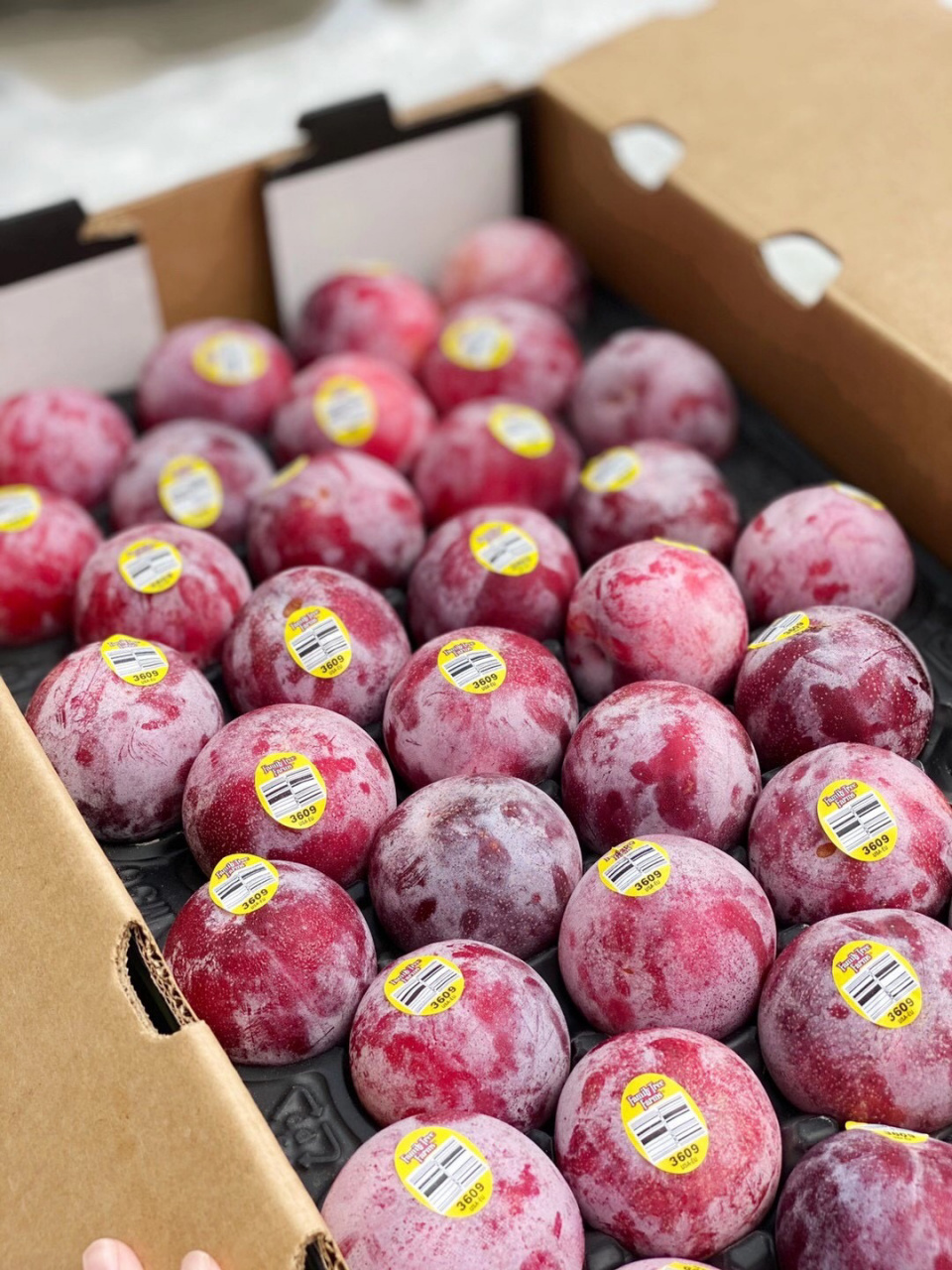 【恐龙蛋是什么水果】科普篇 【恐龙蛋是什么水果】 提到杏或李,可能