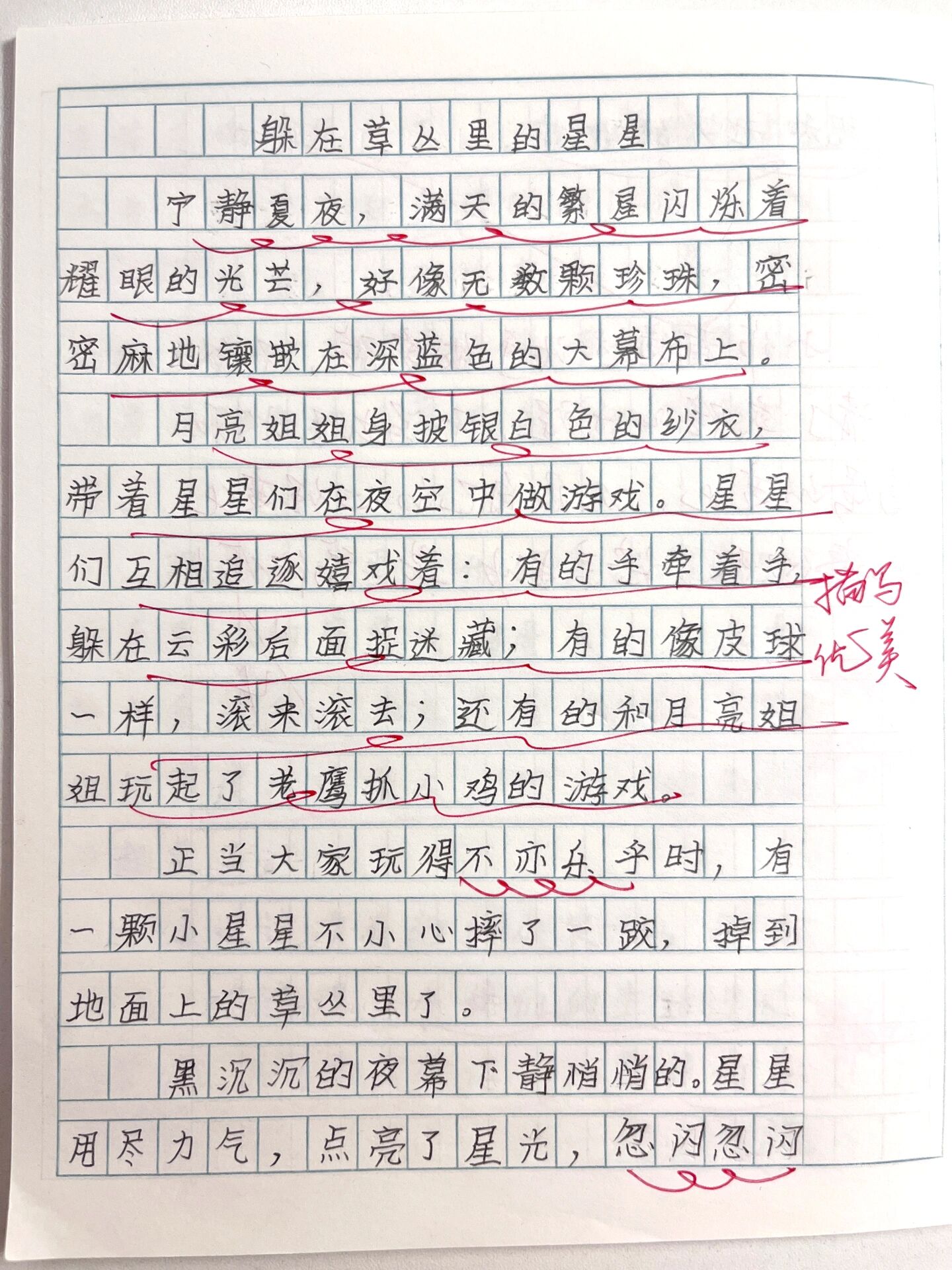 三下作文《躲在草丛里的星星》