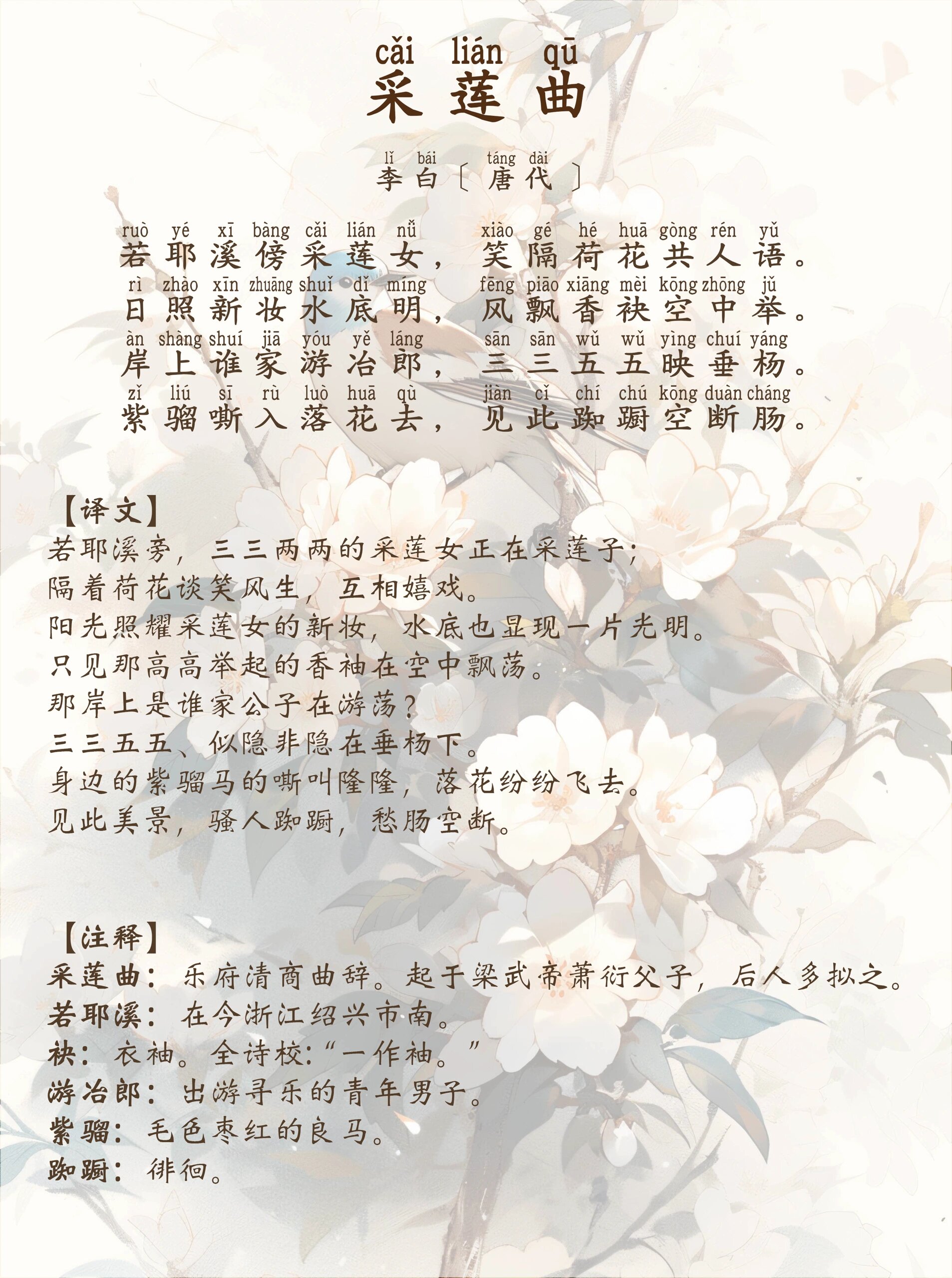 每日诗词06丨采莲曲