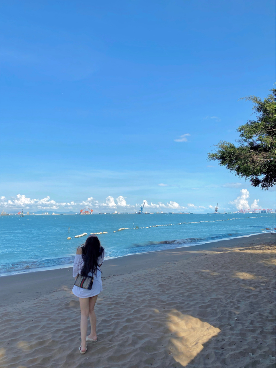 就在南沙的海滨公园.只要是晴天,怎么拍都是日系清新大片97.