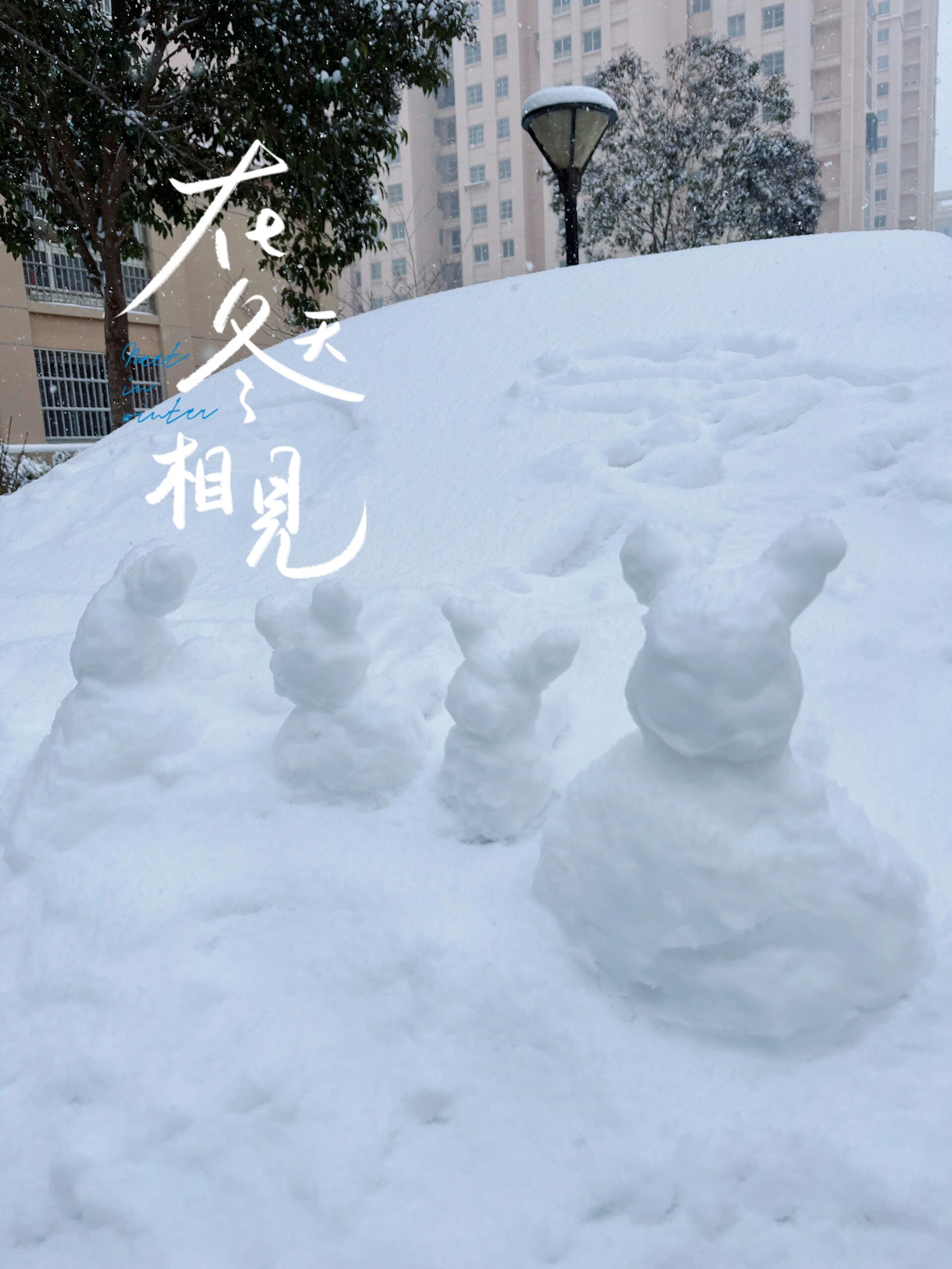 春天的雪文案图片