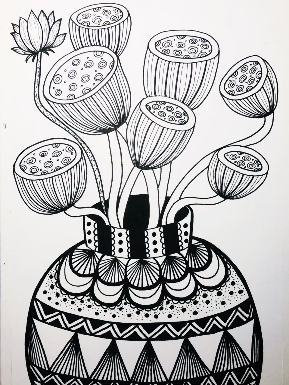 线描画《莲蓬》 儿童线描画 黑白线描画 黑白装饰画 创意儿童画 适合