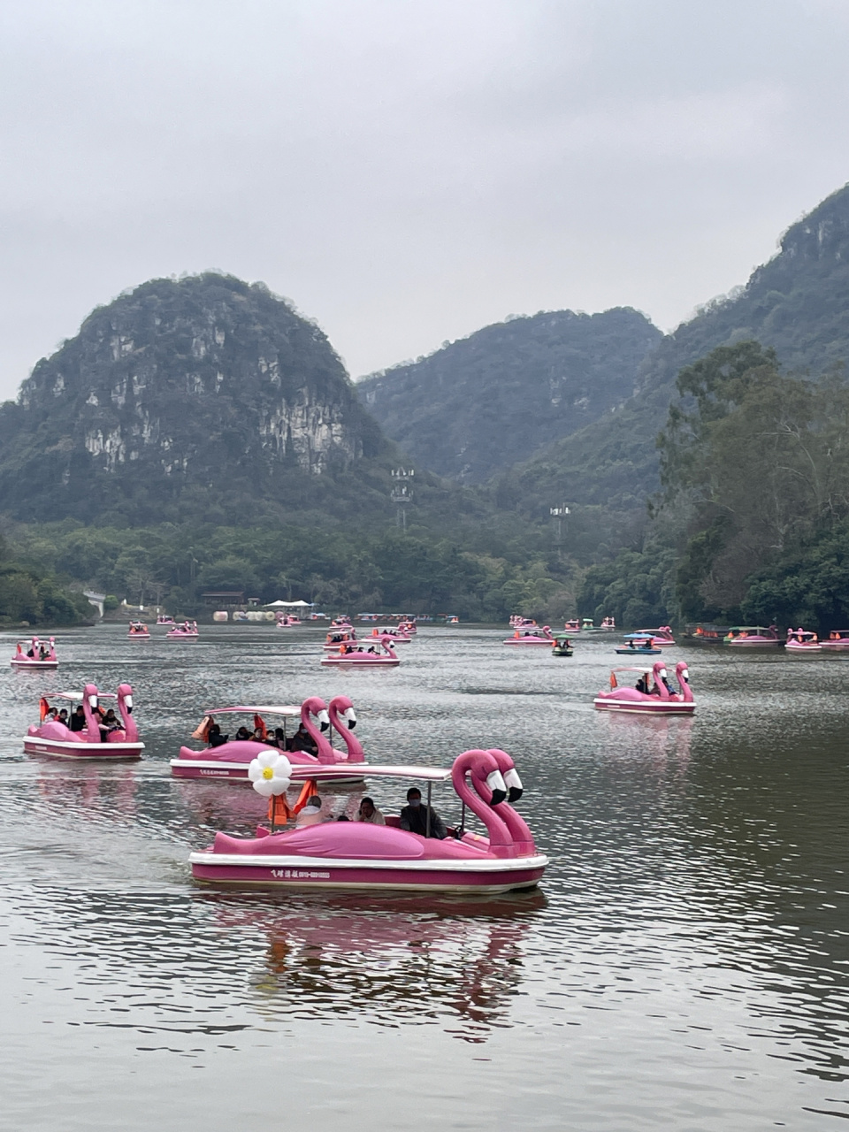 美丽柳州 龙潭公园 龙潭公园 一个值得纪念的地方 小时候好像年年都会