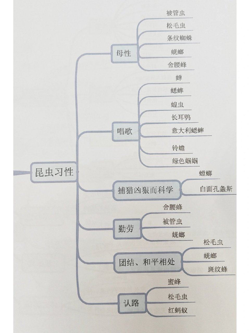 昆虫记思维导图资料图片