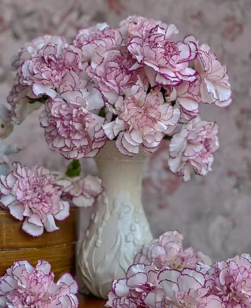 花丛中的小精灵——紫精灵康乃馨 紫精灵﹣﹣原来康乃馨也可以如此