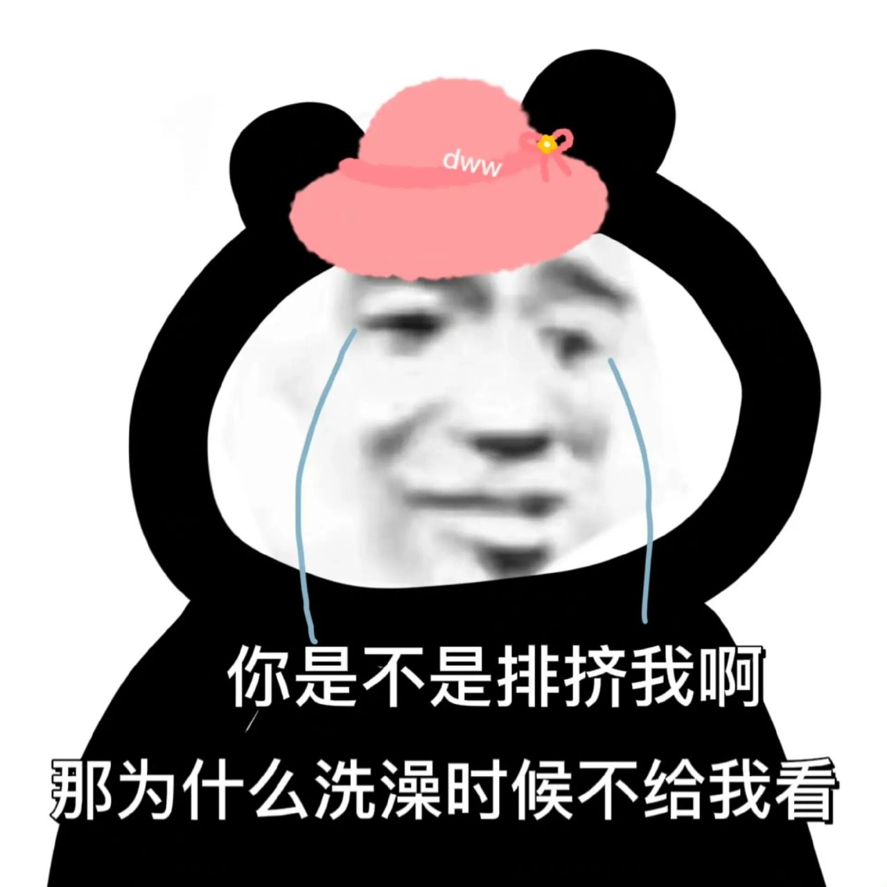 贼拉搞笑熊猫头表情包来啦         非原创来源