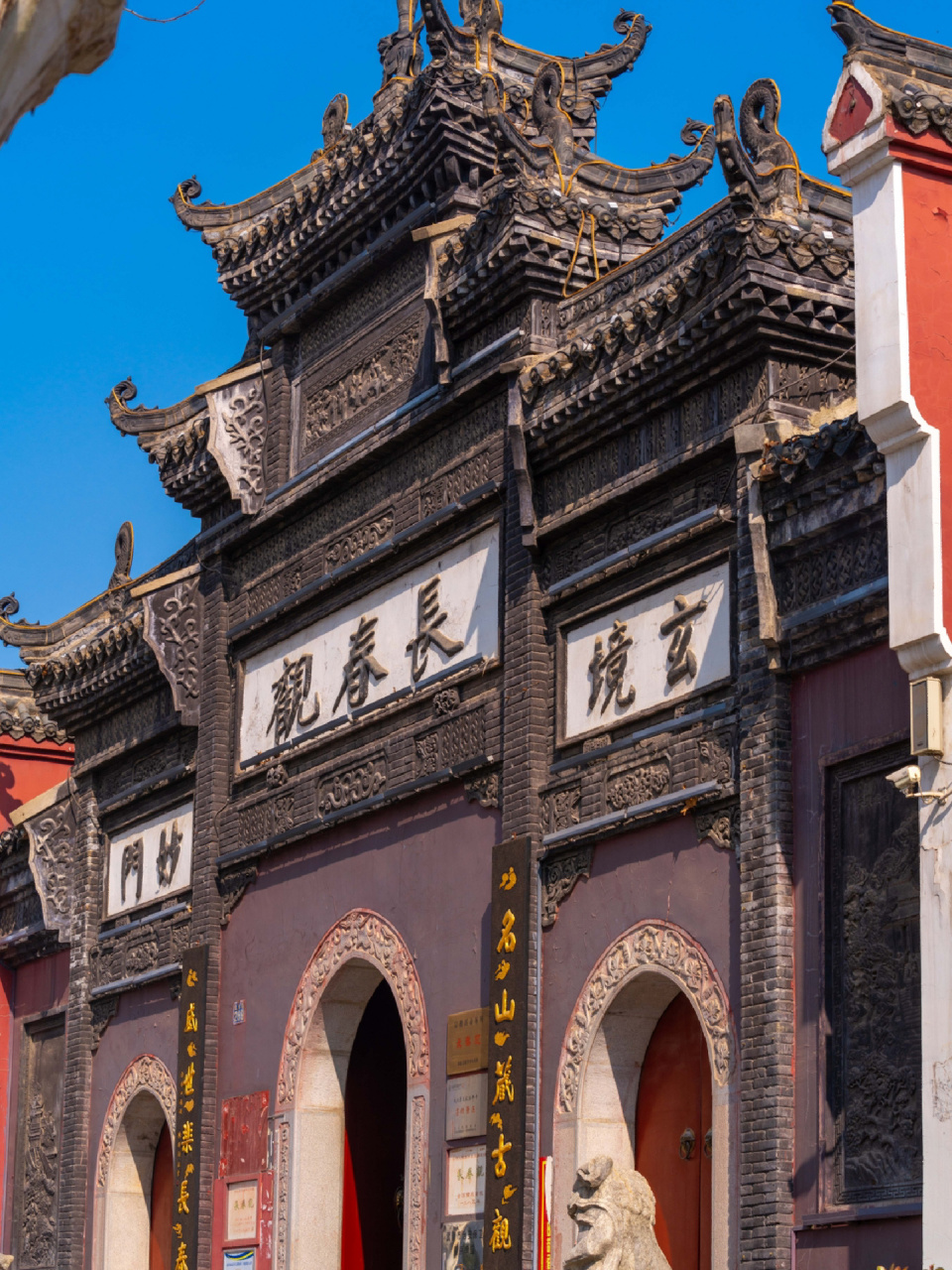 武汉长春观玉兰花进入倒计时 烟花稍纵即逝,玉兰花开