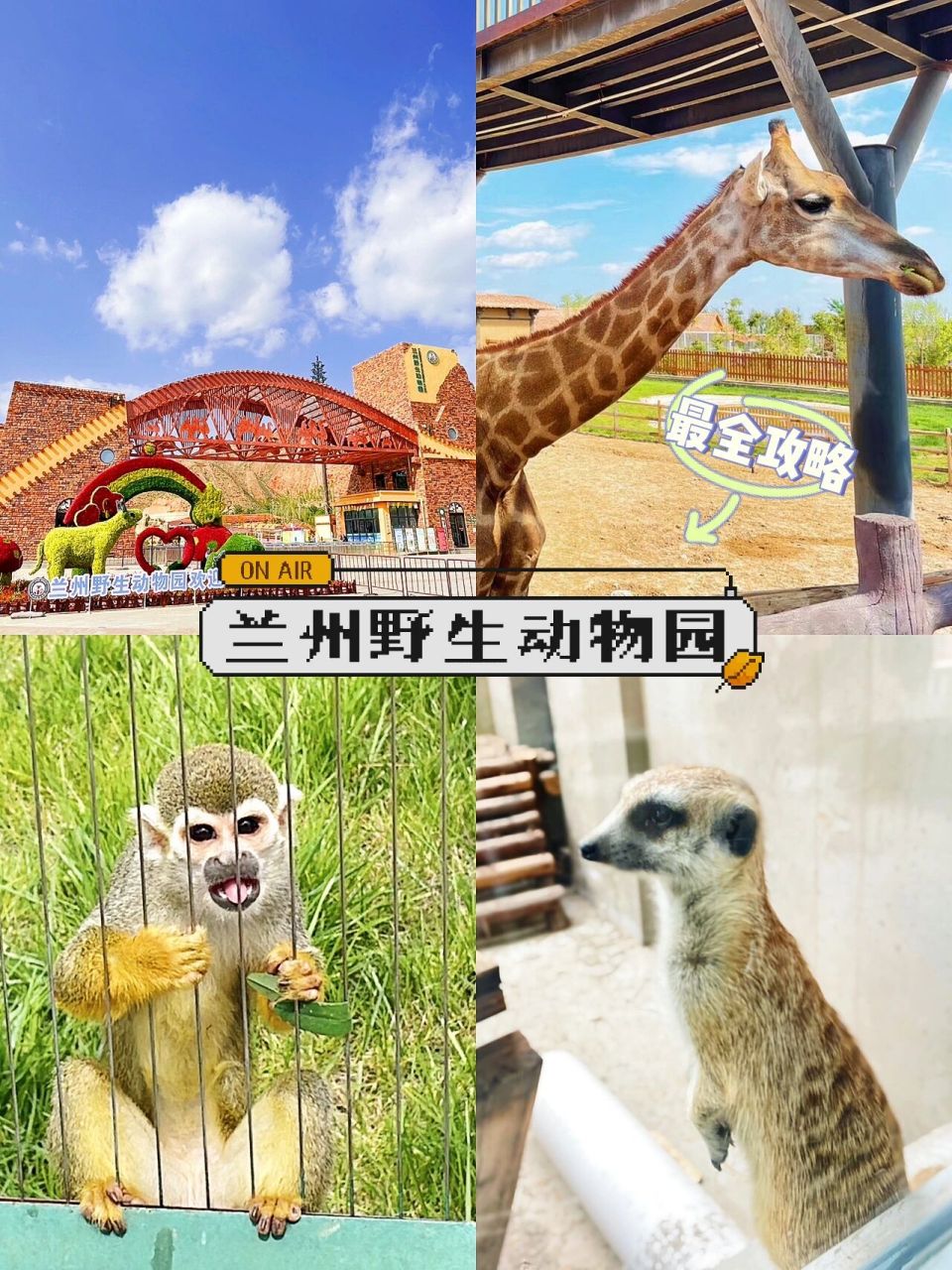兰州野生动物园全攻略 地址99皋兰县忠和镇崖川村8号 出行方式07