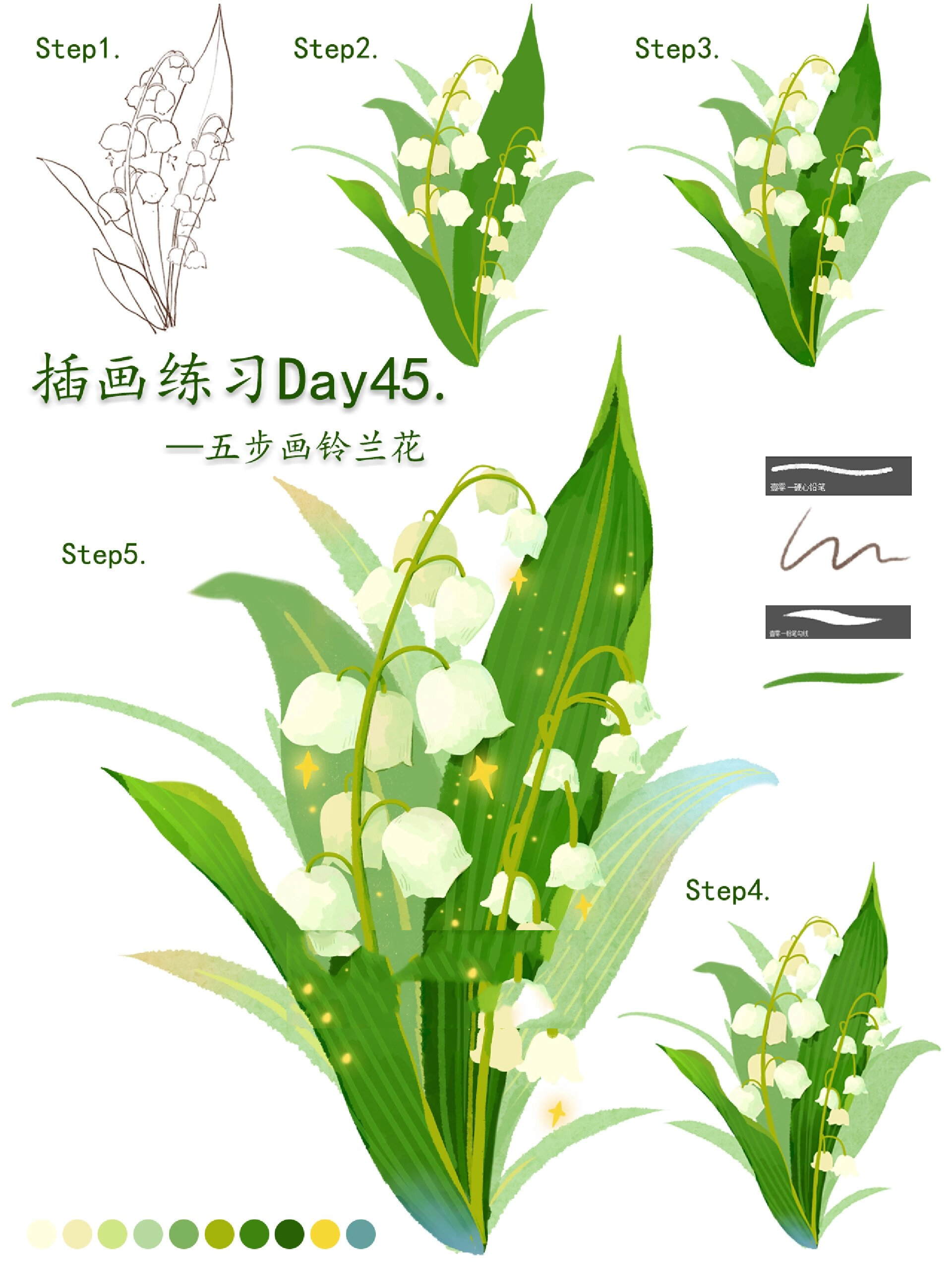 插画教程|五步画铃兰花