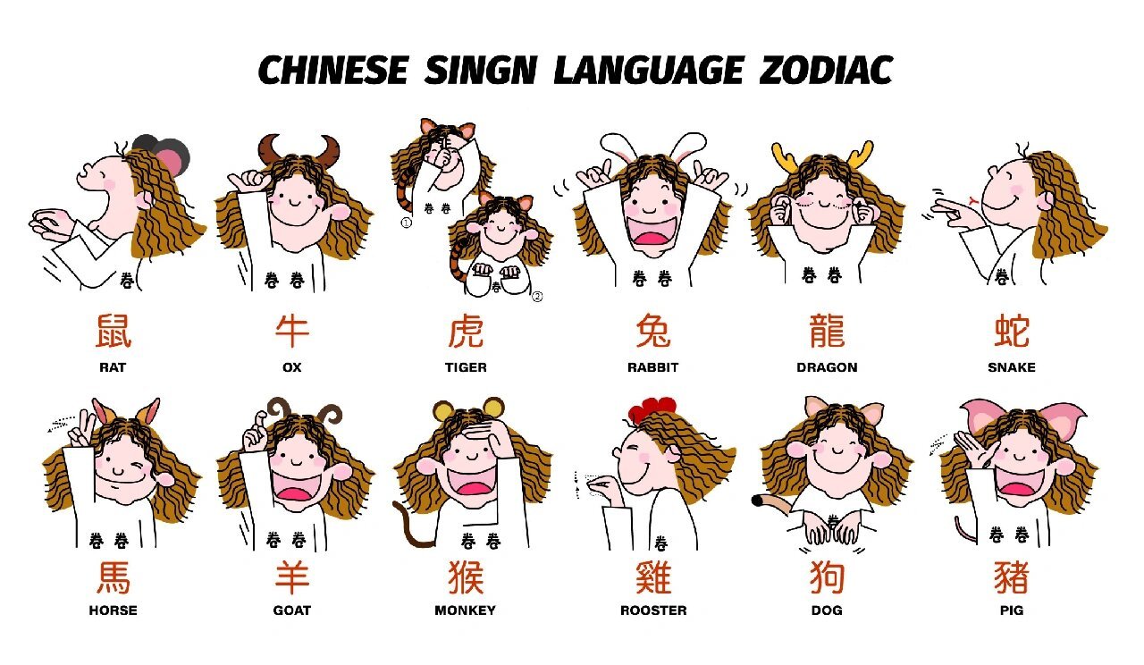 🌀卷卷教你学手语🌀十二生肖