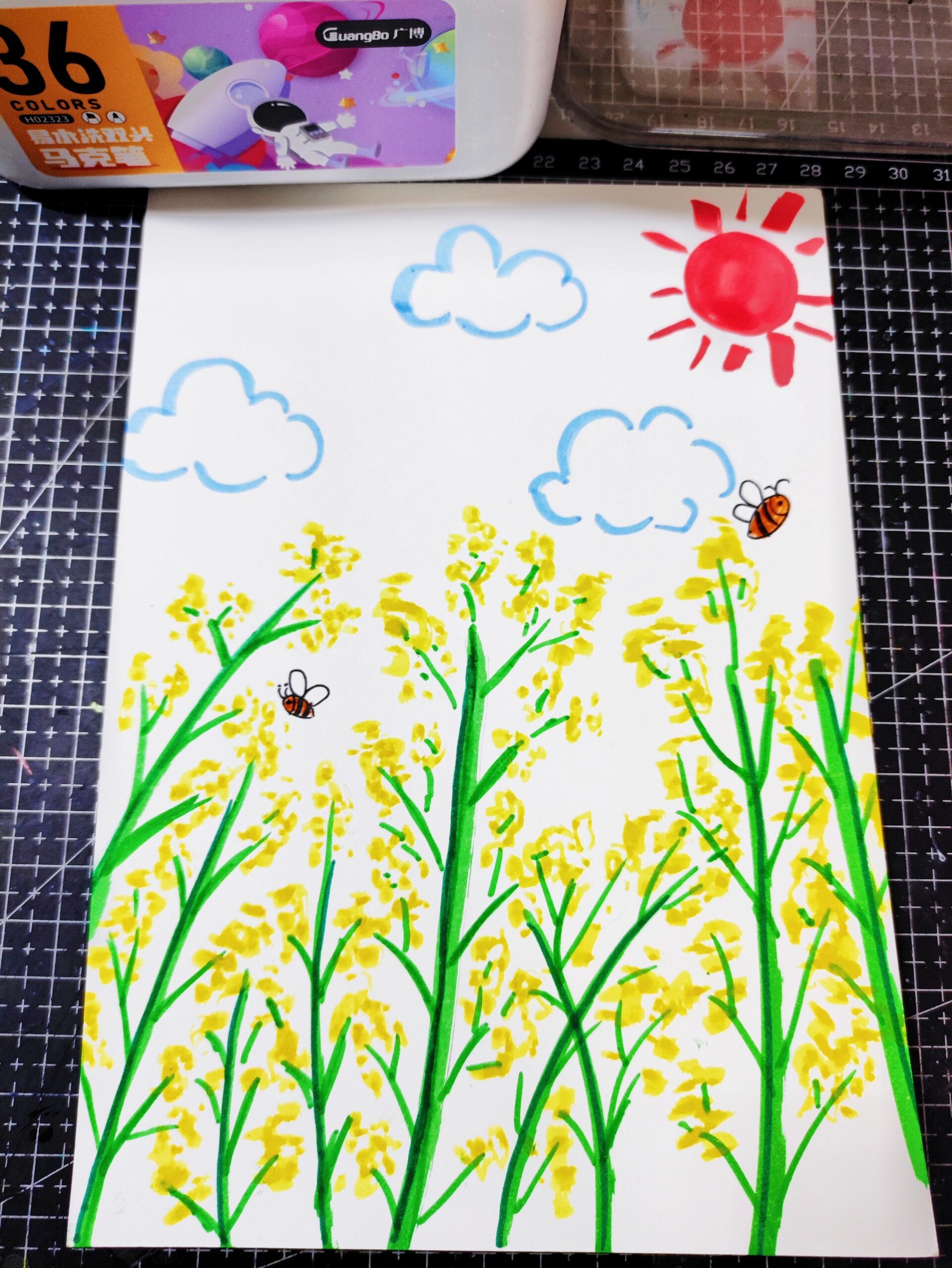 春天主题画—油菜花