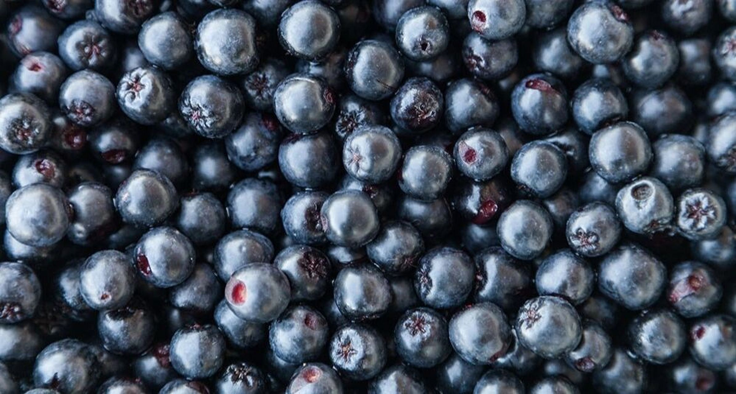 《黑果花楸(野樱莓)不老莓》 黑果腺肋花楸,又名黑果花楸,野樱莓,不老