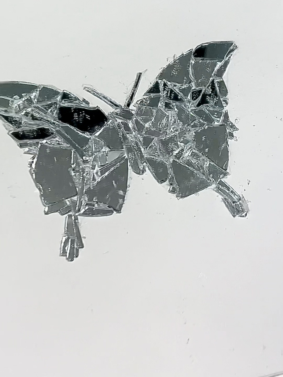 破碎的蝴蝶 碎了一个镜子做的蝴蝶