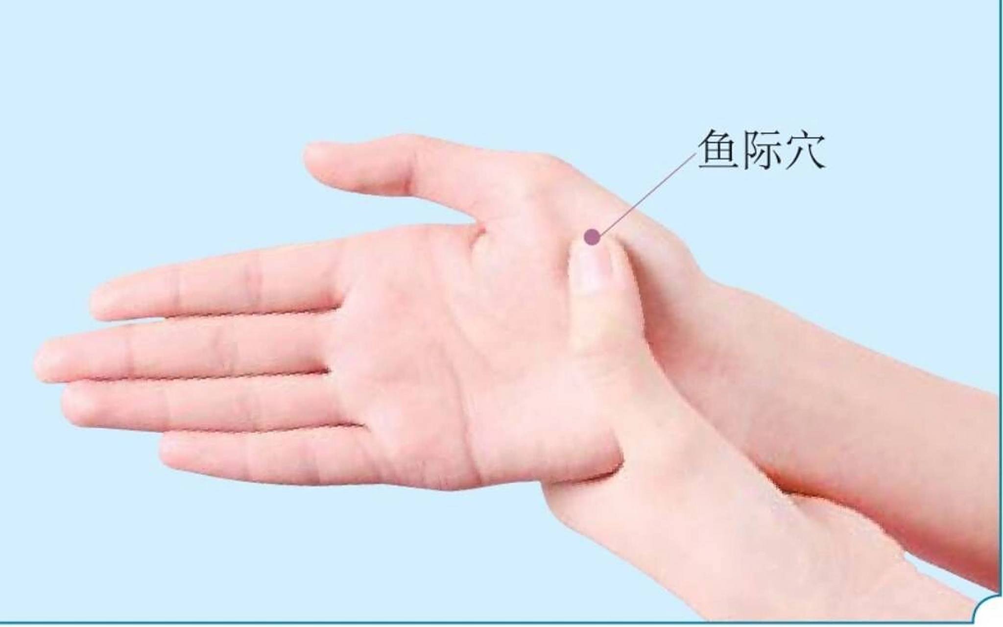 把大拇指伸直,在大拇指根部这一块泛白的地方是大鱼际,在大拇指根部和
