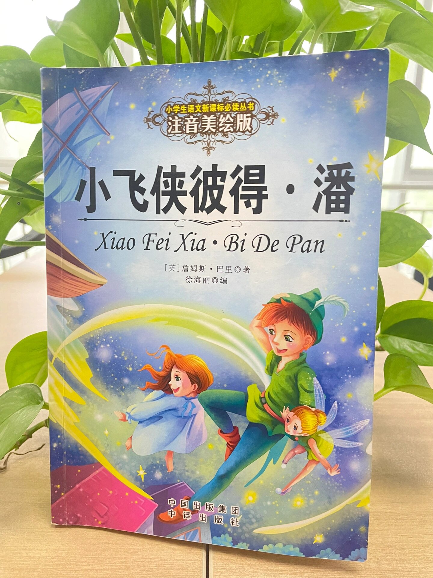 一方面,它用生动的笔法描述了一个至真至纯的儿童世界.