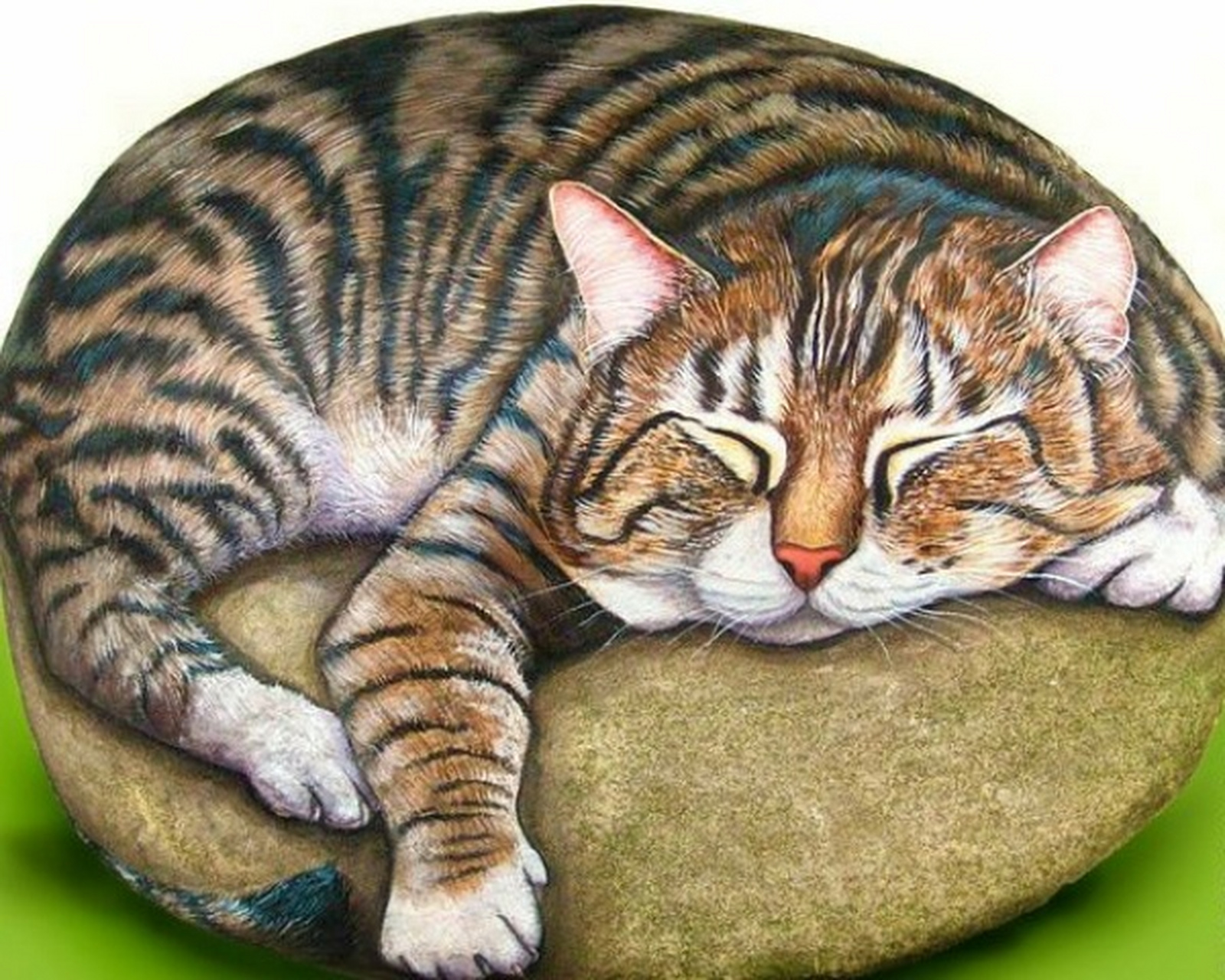 手绘石头画-动物系列 #手绘石头画